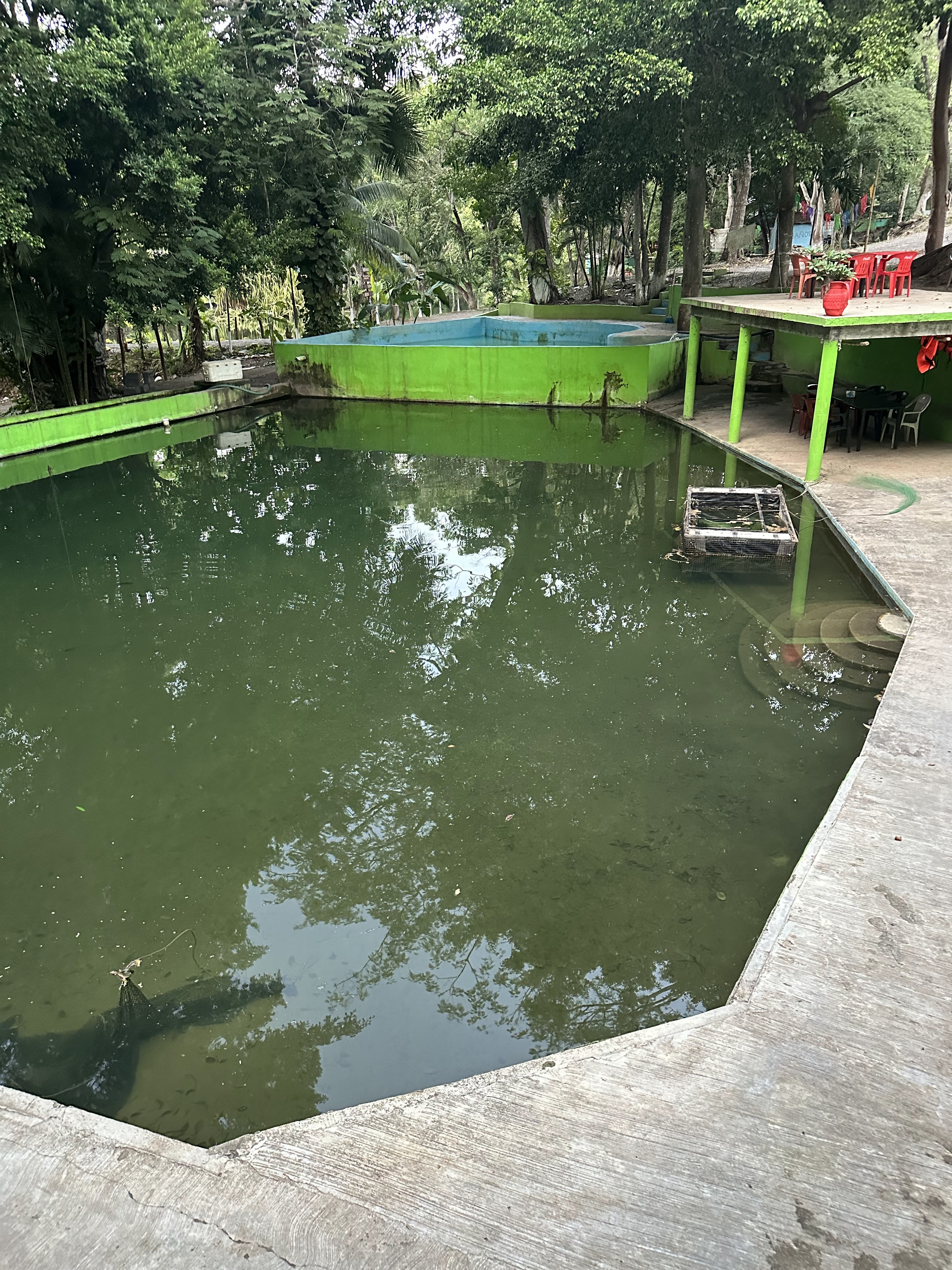 Restaurant La Bocatoma II image 8