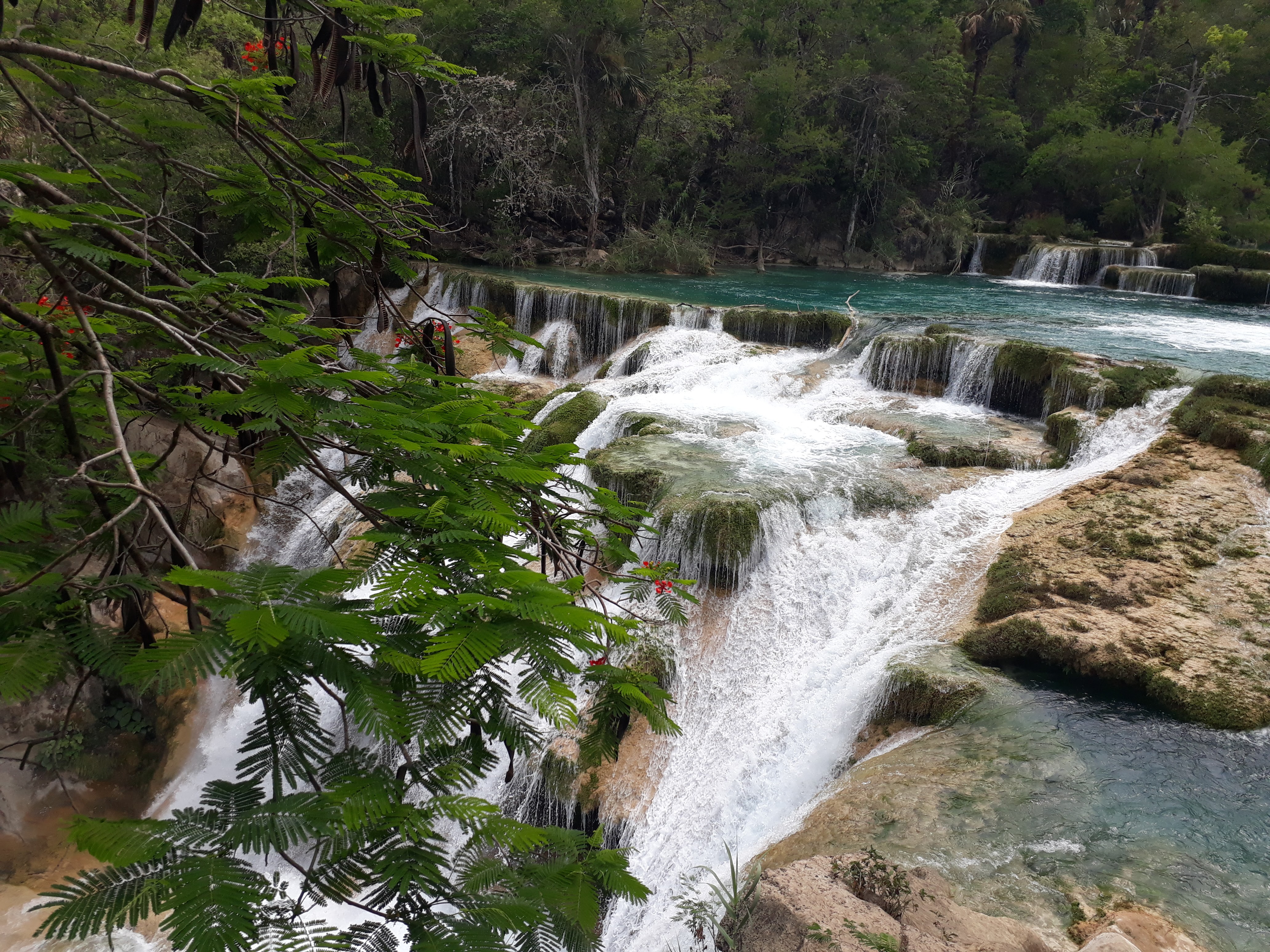 Restaurant Bar Sundial image 6