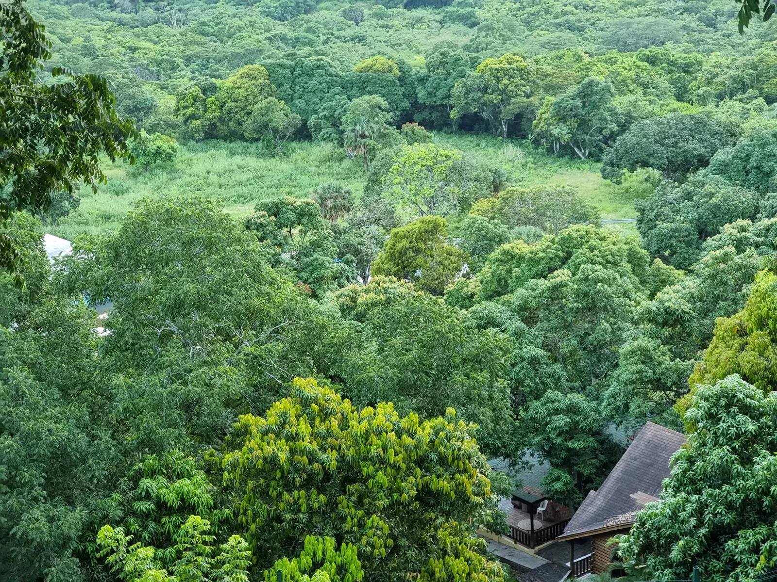 Terraza Sierra Madre image 9