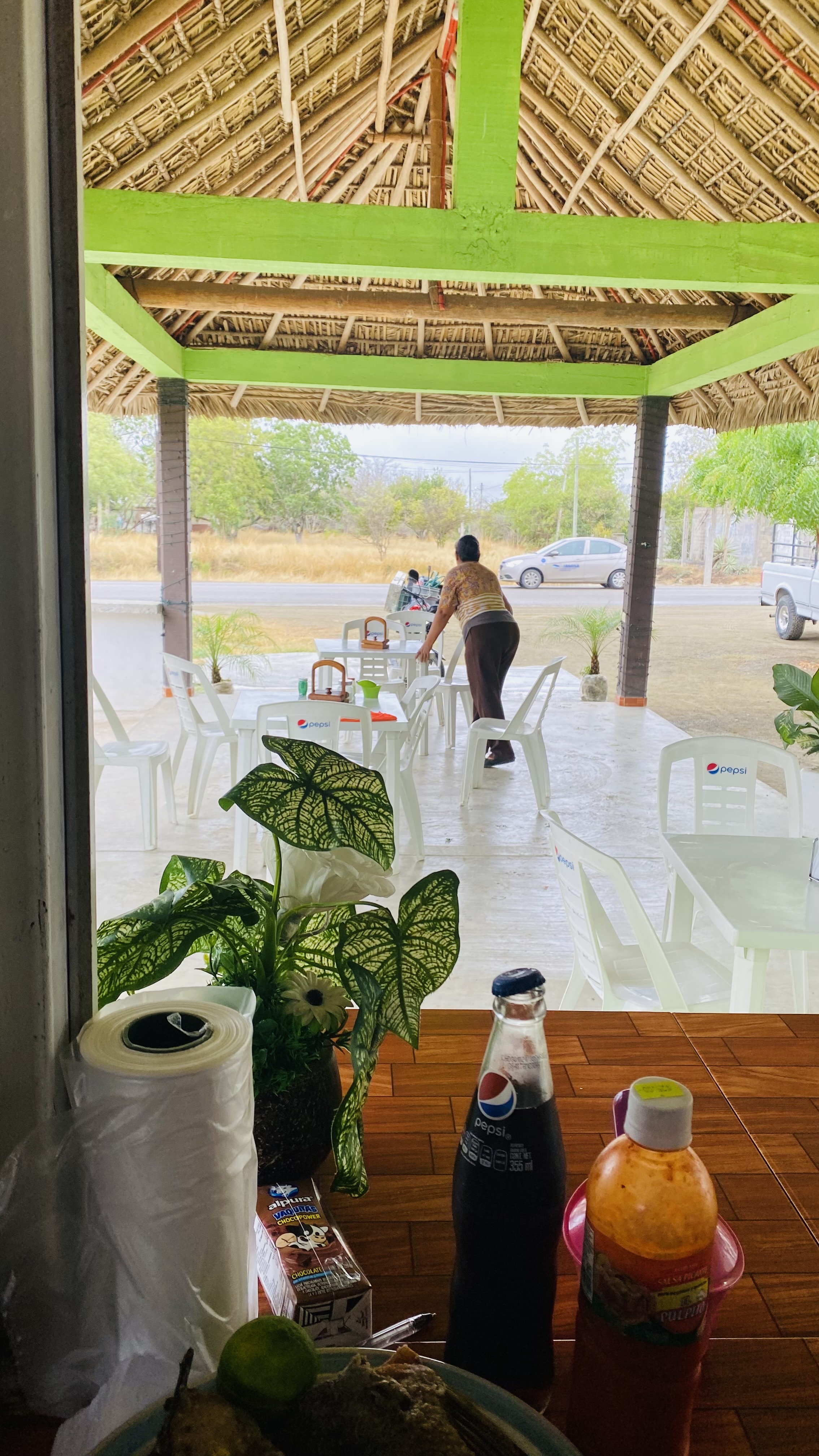 Comedor patty image 9