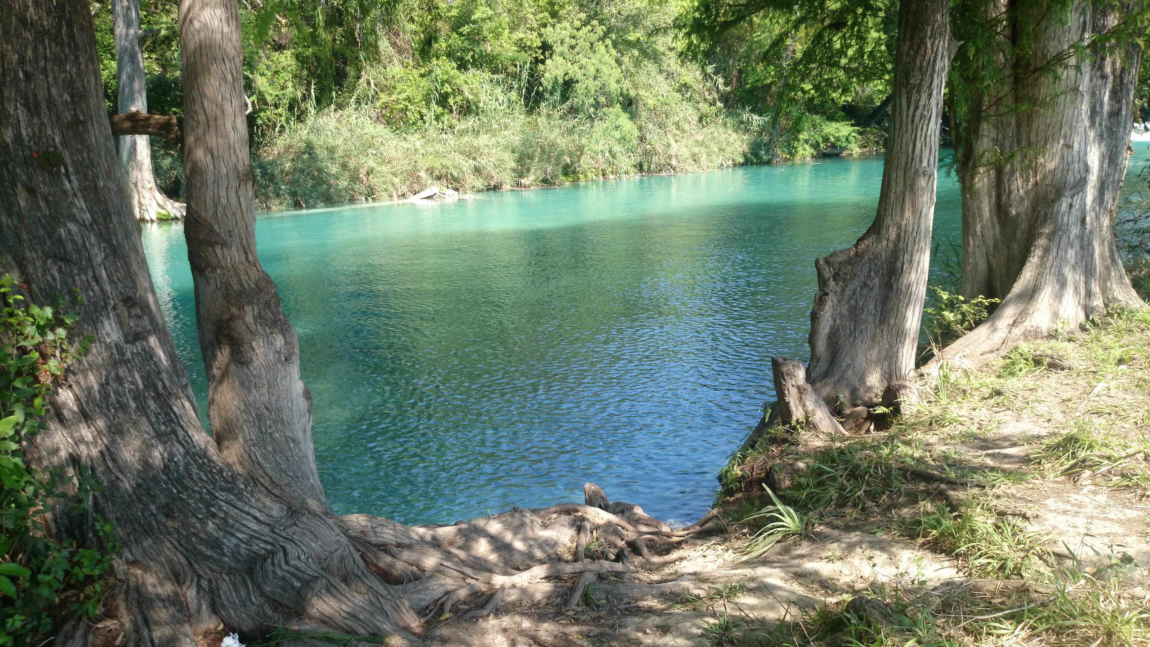 D' Picón Restaurante de Marisco y Hotel image 4
