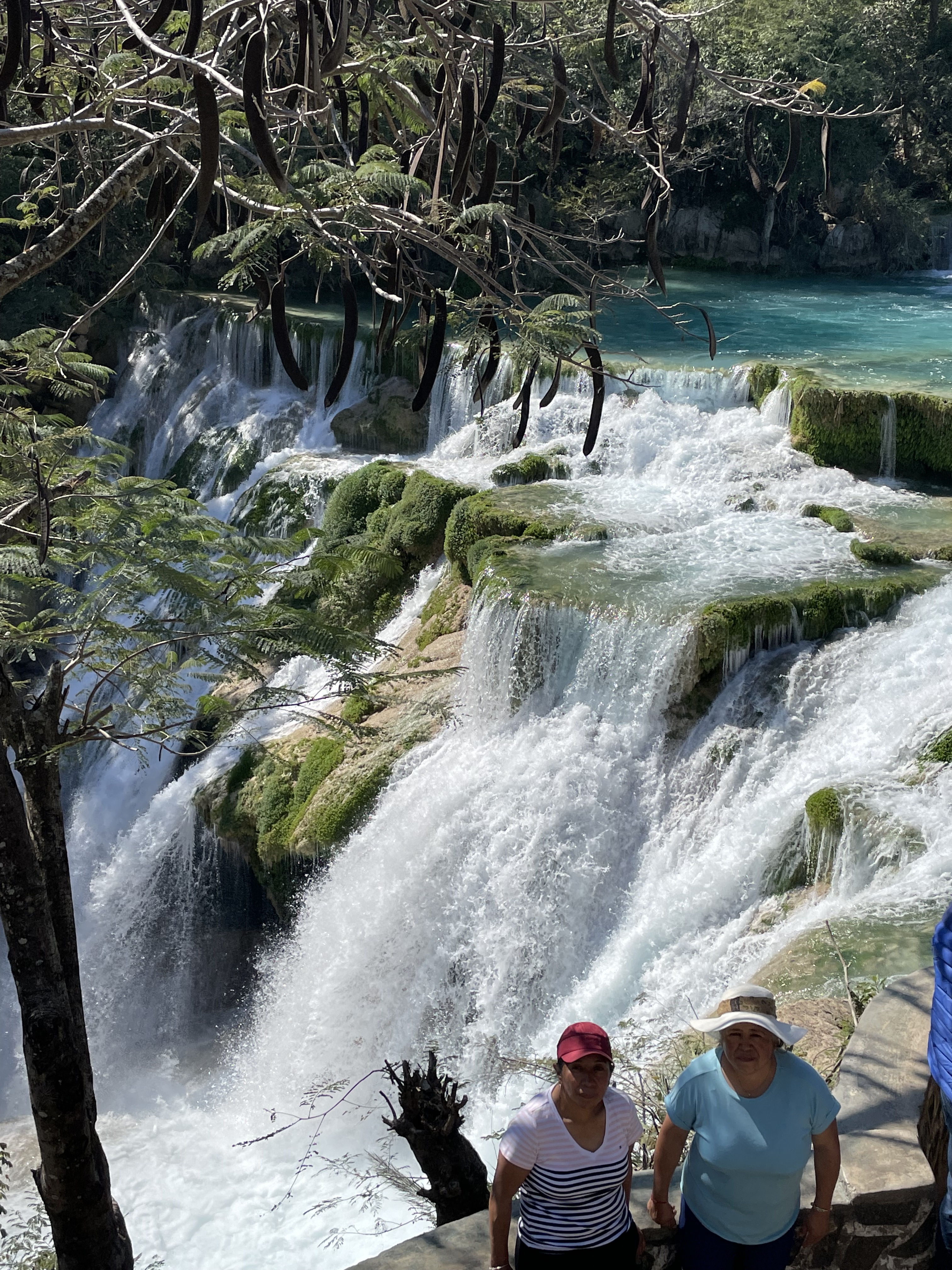 Restaurante el Mirador del Salto del Meco image 3