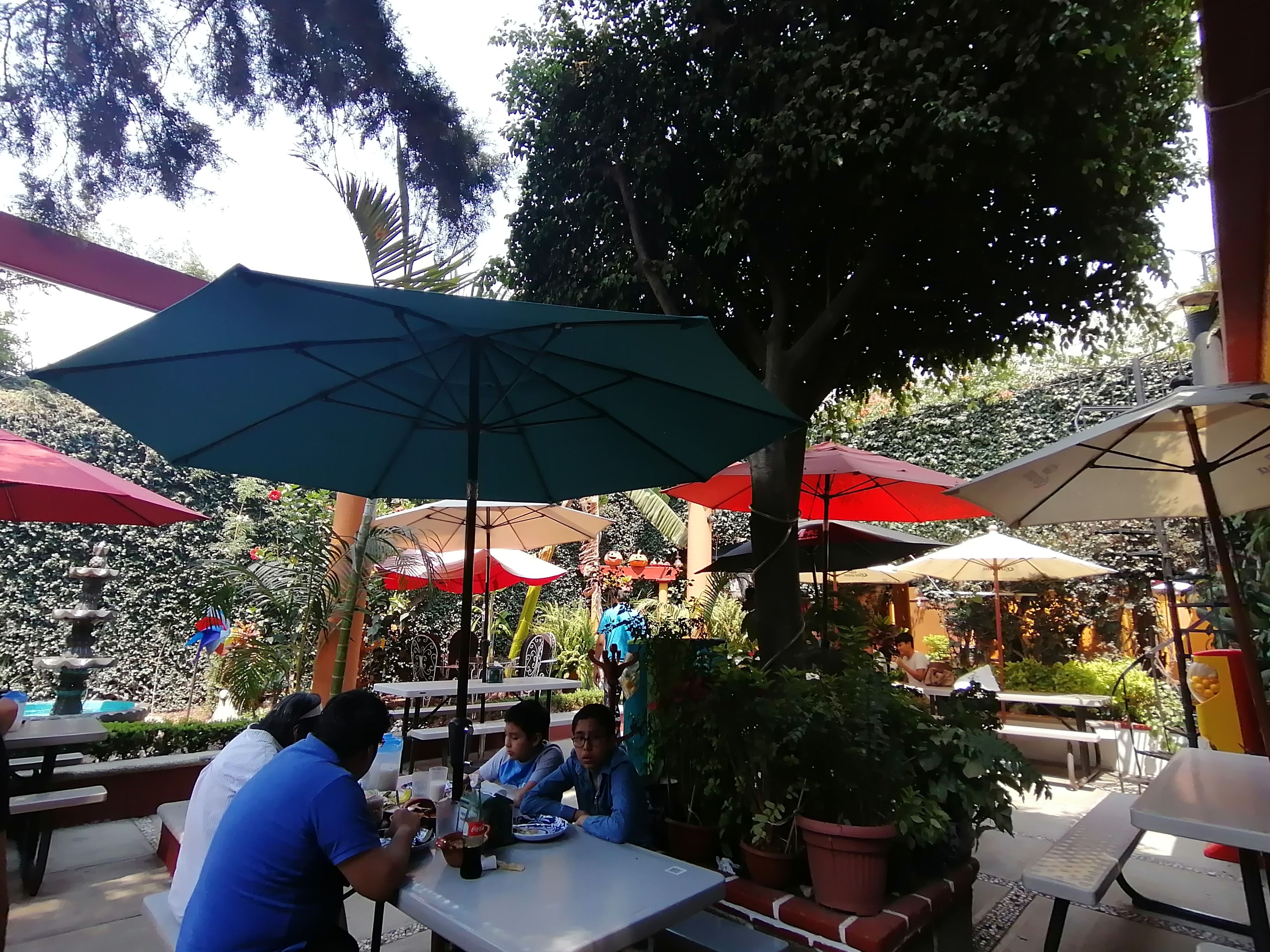 El Tianguis Yecapixtla image 1