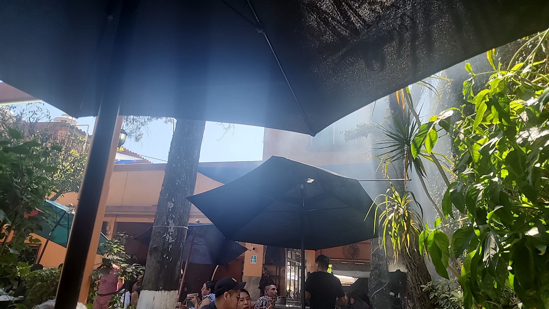 El Tianguis Yecapixtla image 5