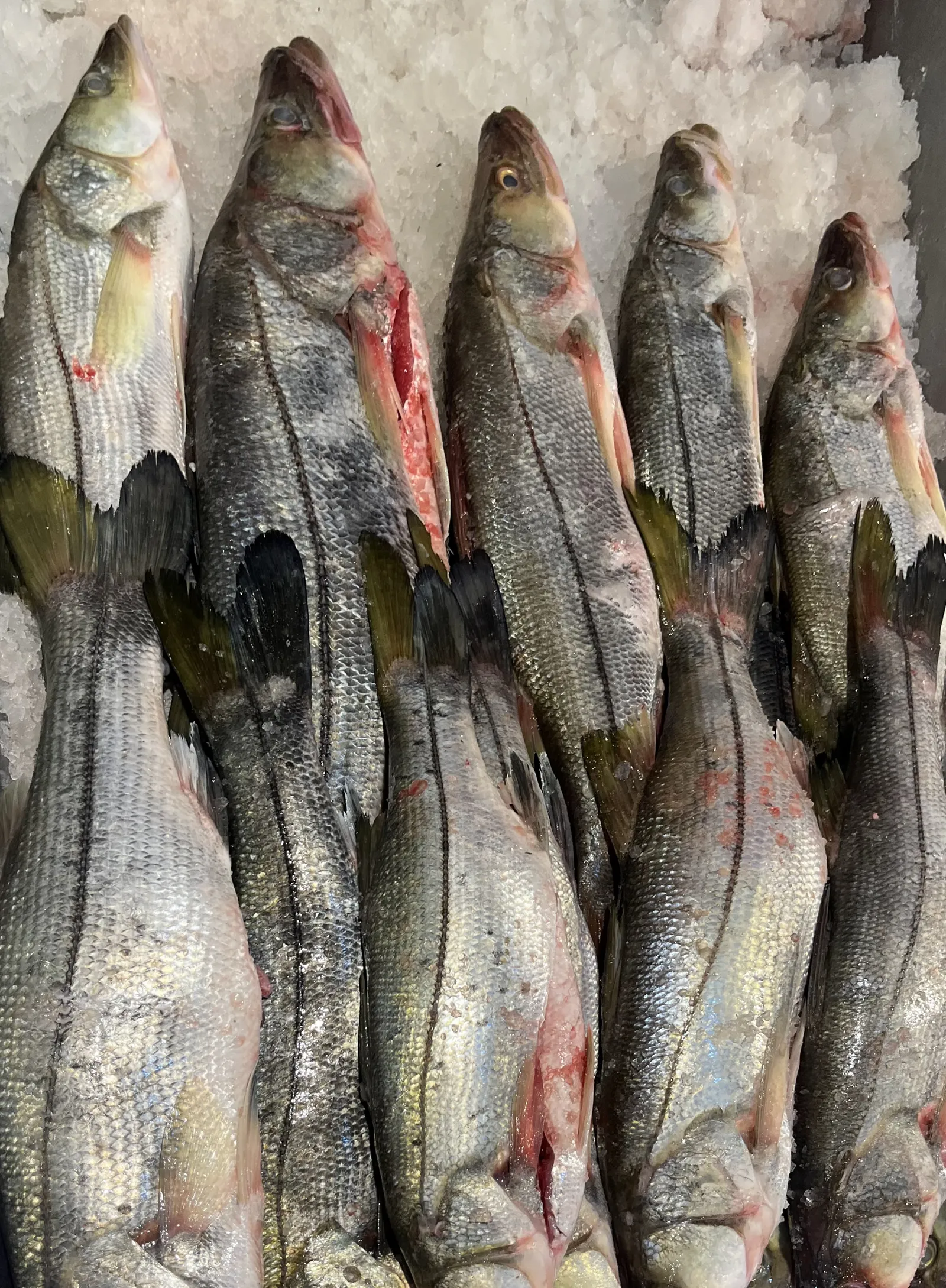 Delicias del Mar 🦐 image 3