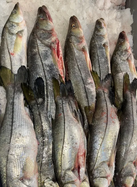 Delicias del Mar 🦐 image 3