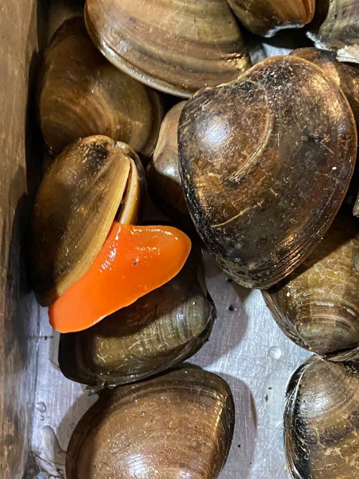 Delicias del Mar 🦐 image 8