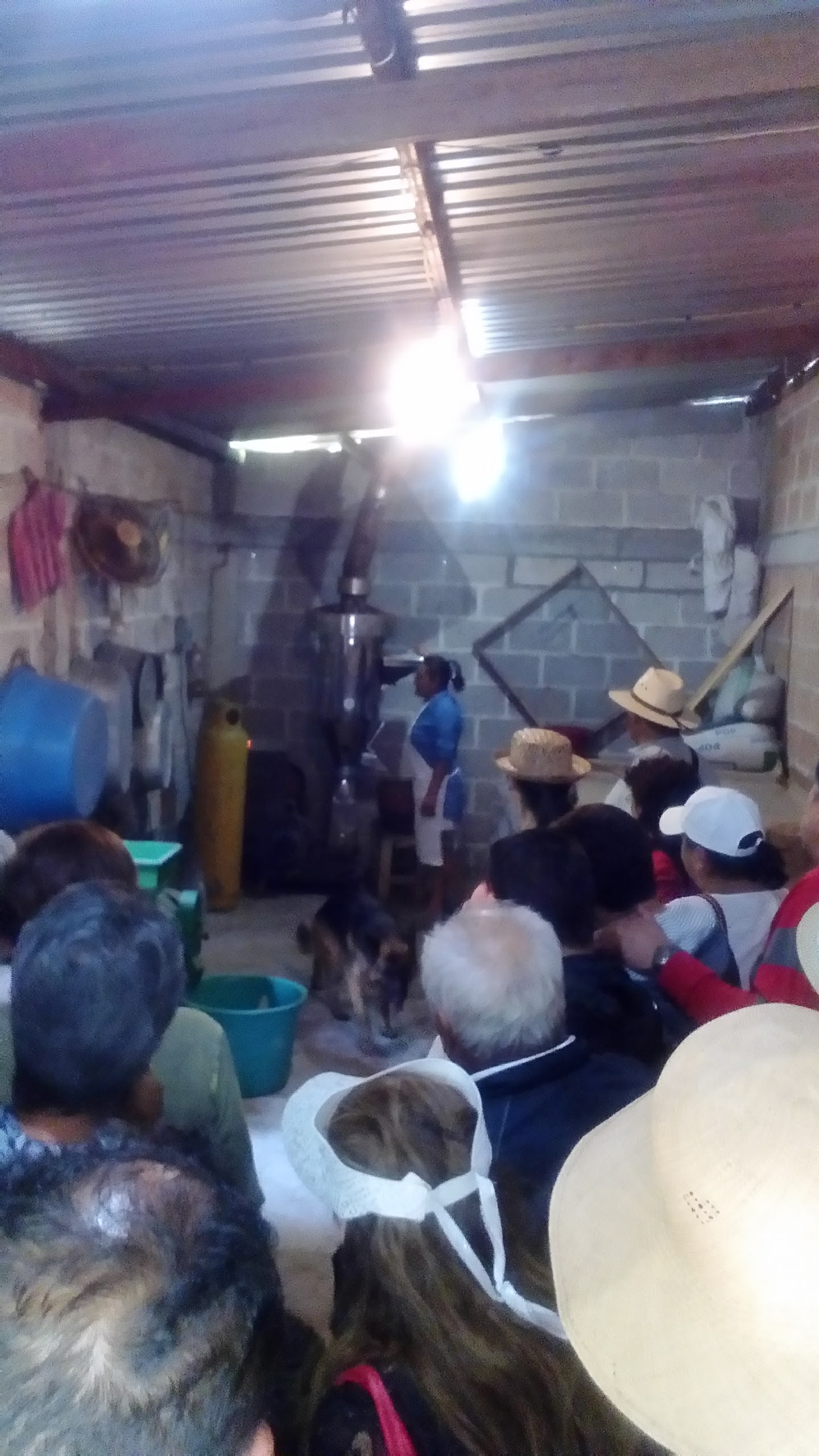 Tacos Don Chon image 6