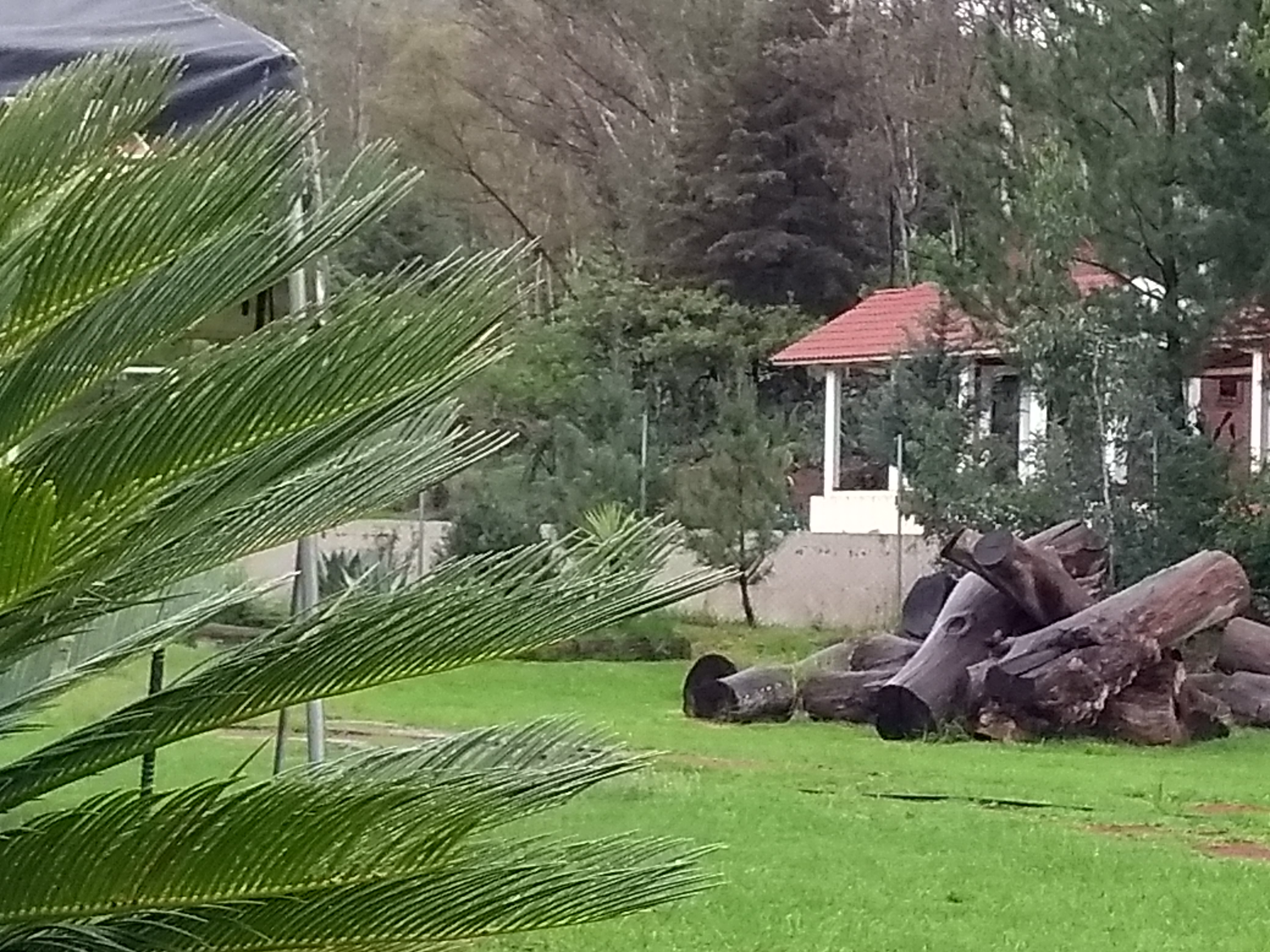 Restaurante El Santuario image 8