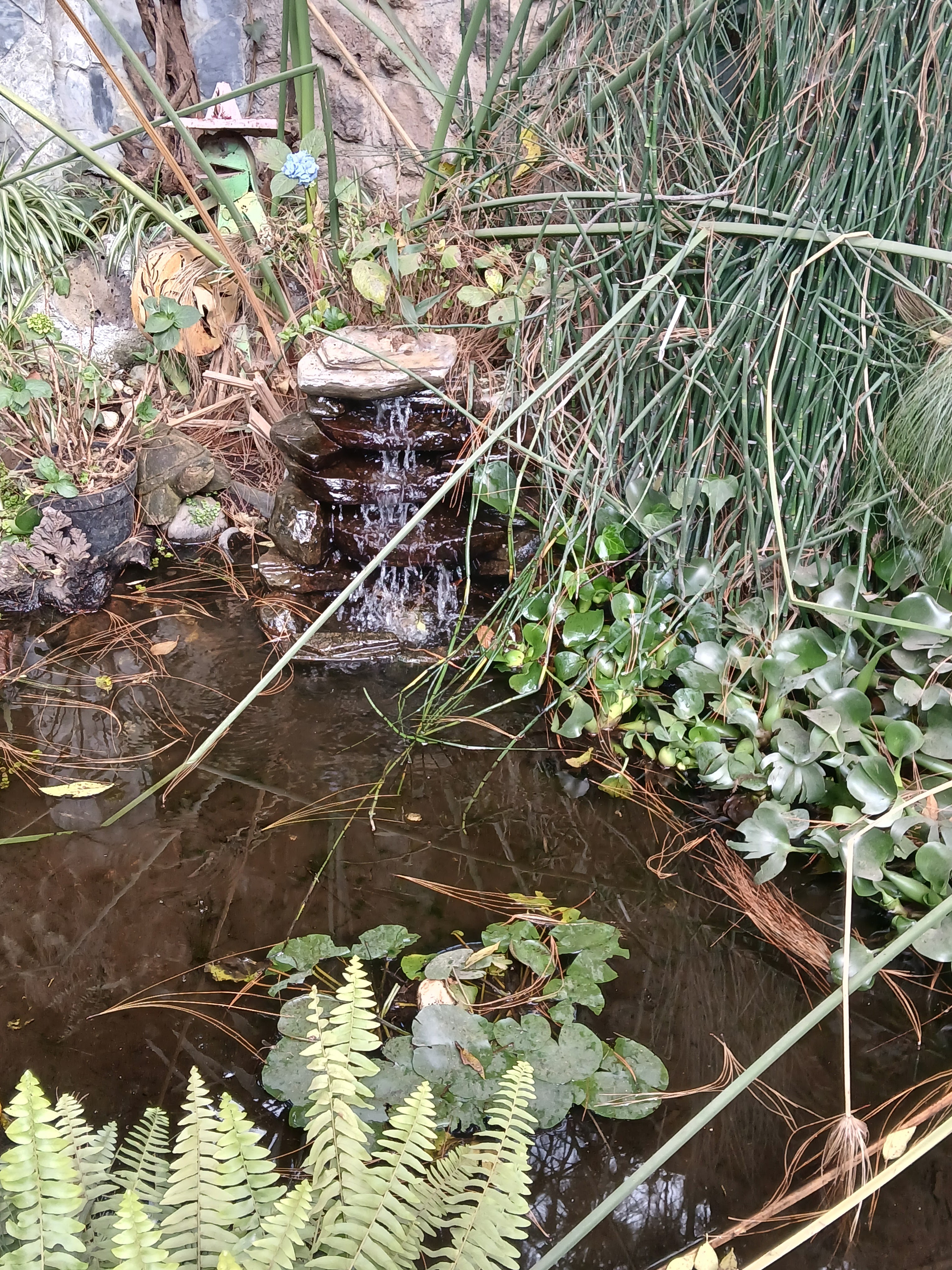 La Granja Del Chelys image 7