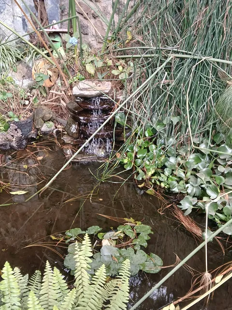 La Granja Del Chelys image 7