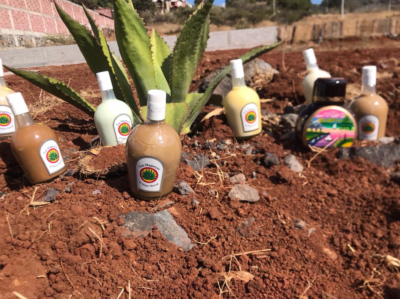 Los magueyes image 4