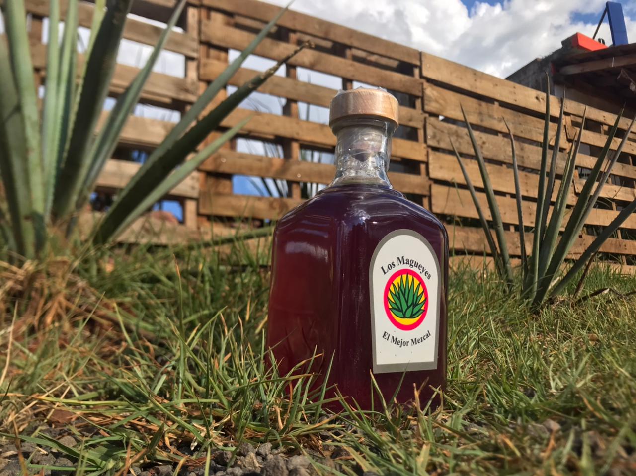 Los magueyes image 6