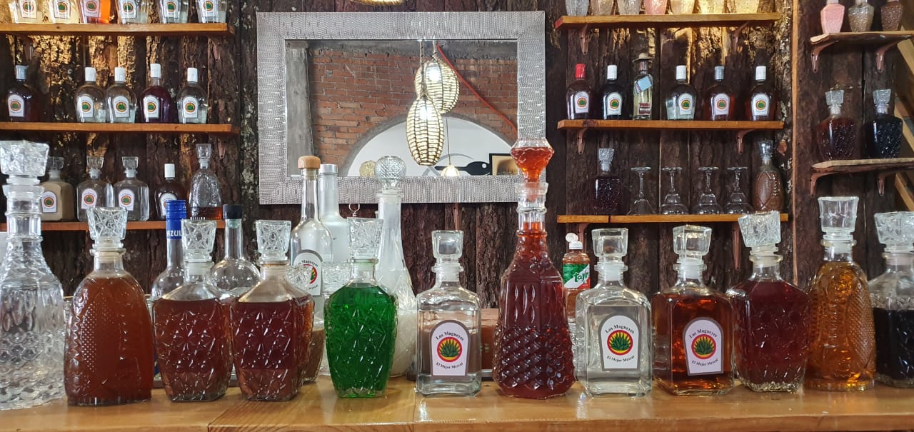 Los magueyes image 7