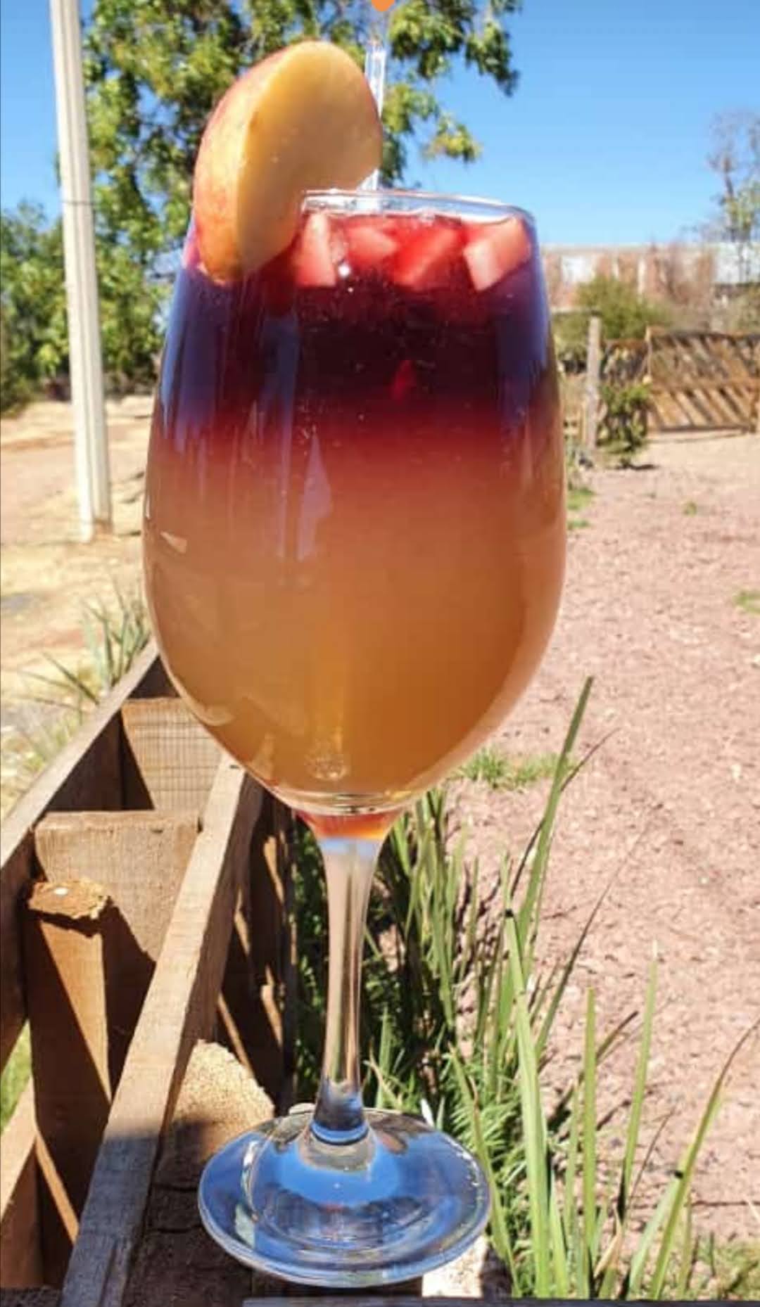 Los magueyes image 8