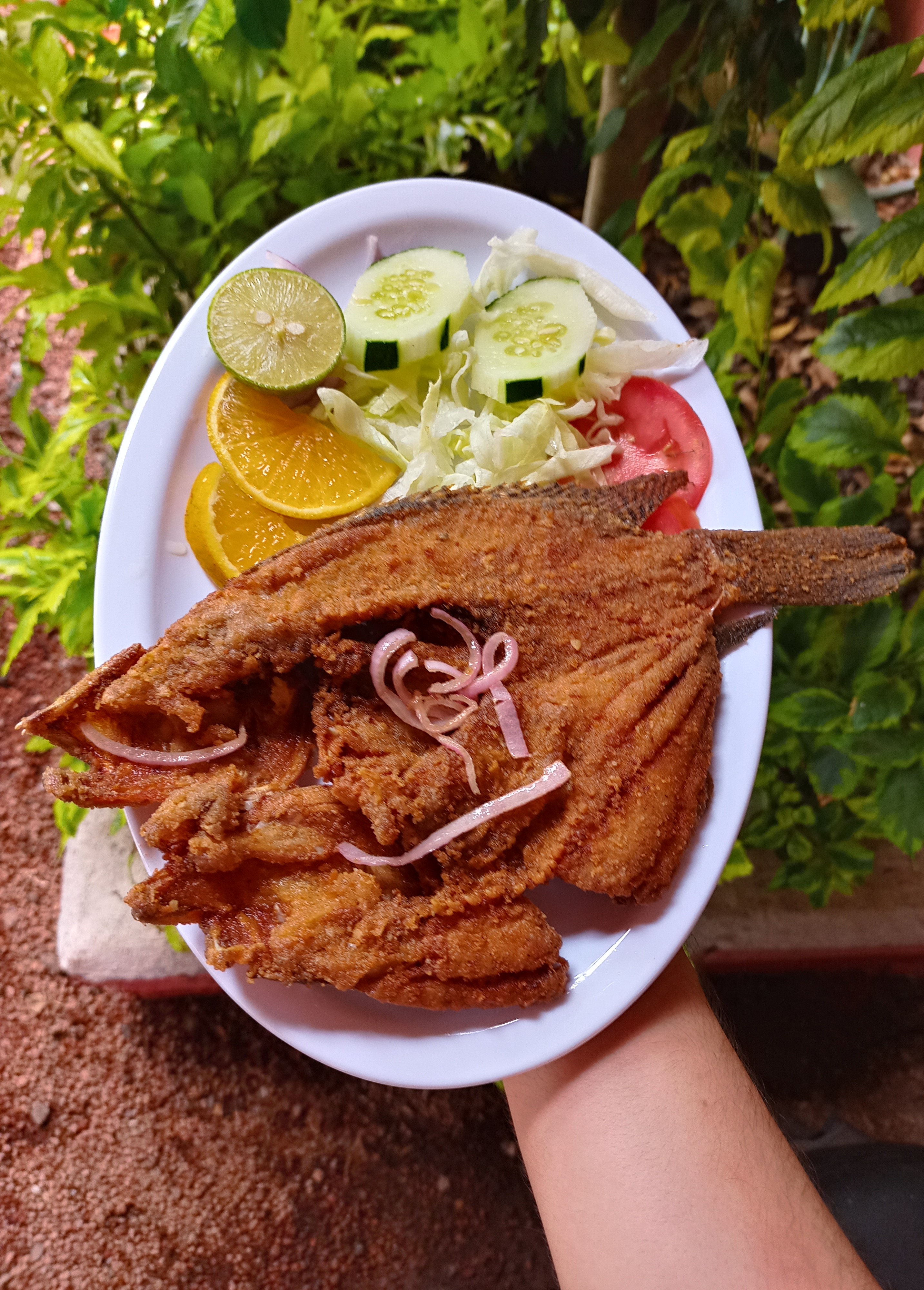 Cantaritos "los del Davichon" image 2