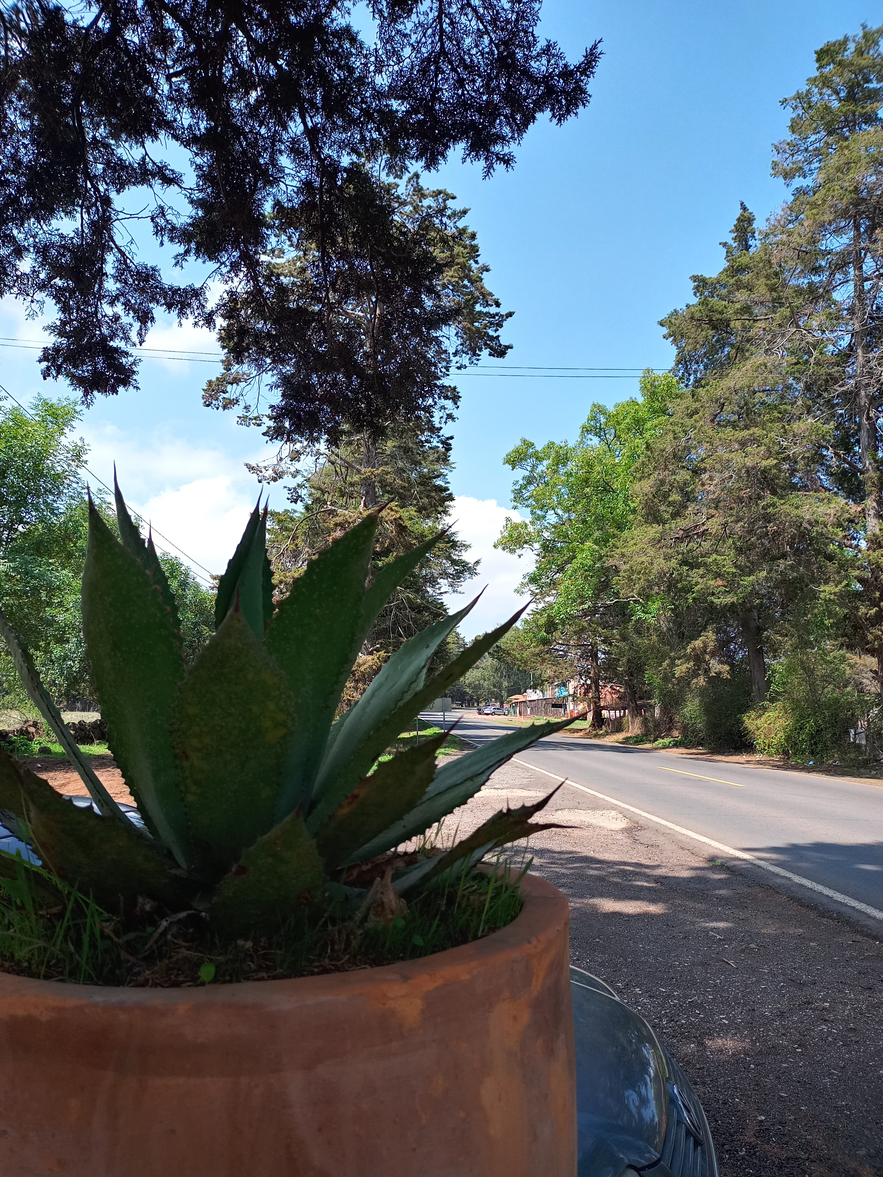 Cantaritos "los del Davichon" image 4