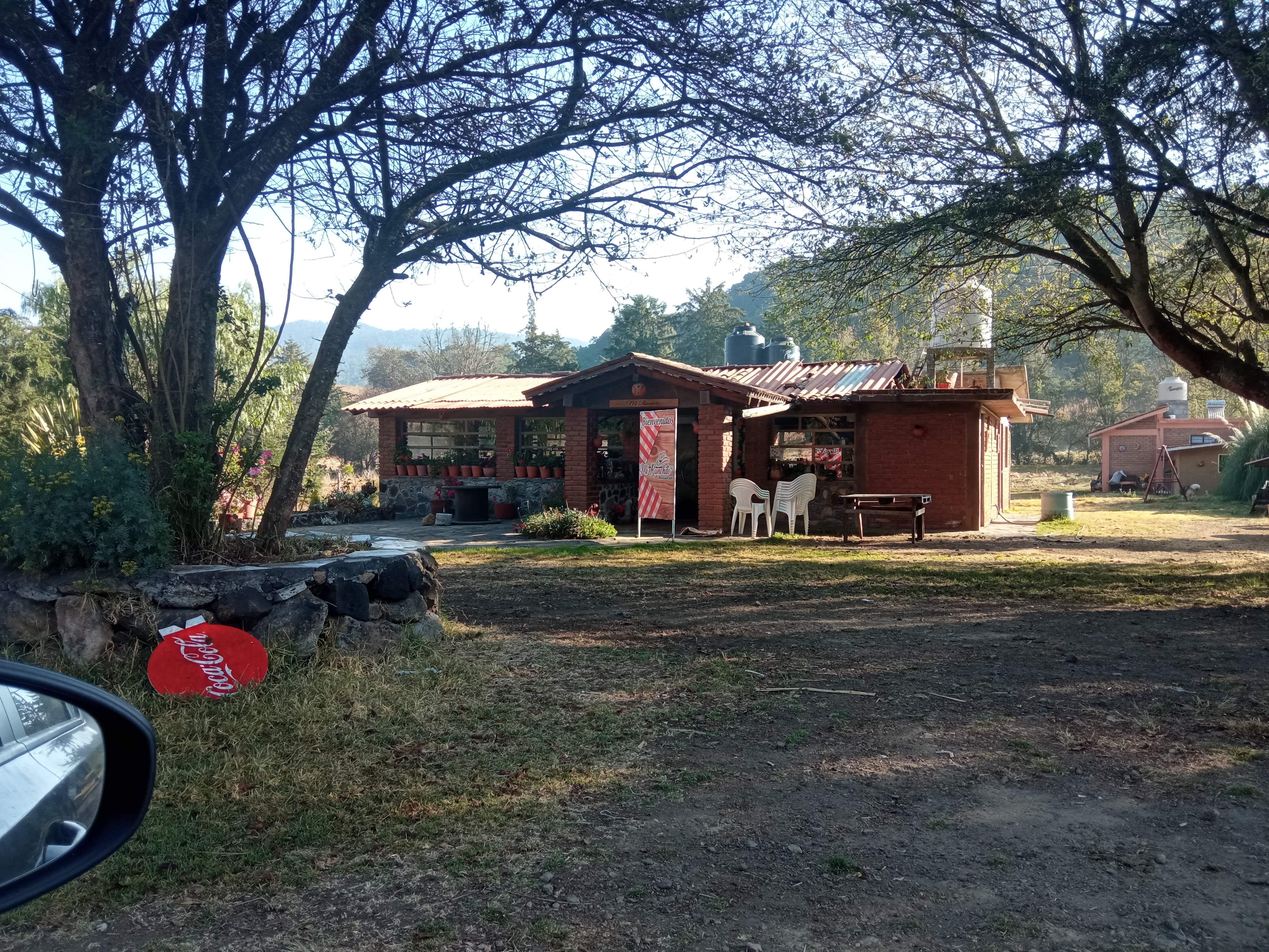 Restaurant El Tigre image 8