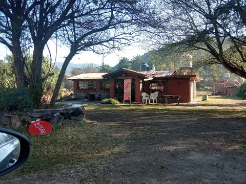 Restaurant El Tigre image 8