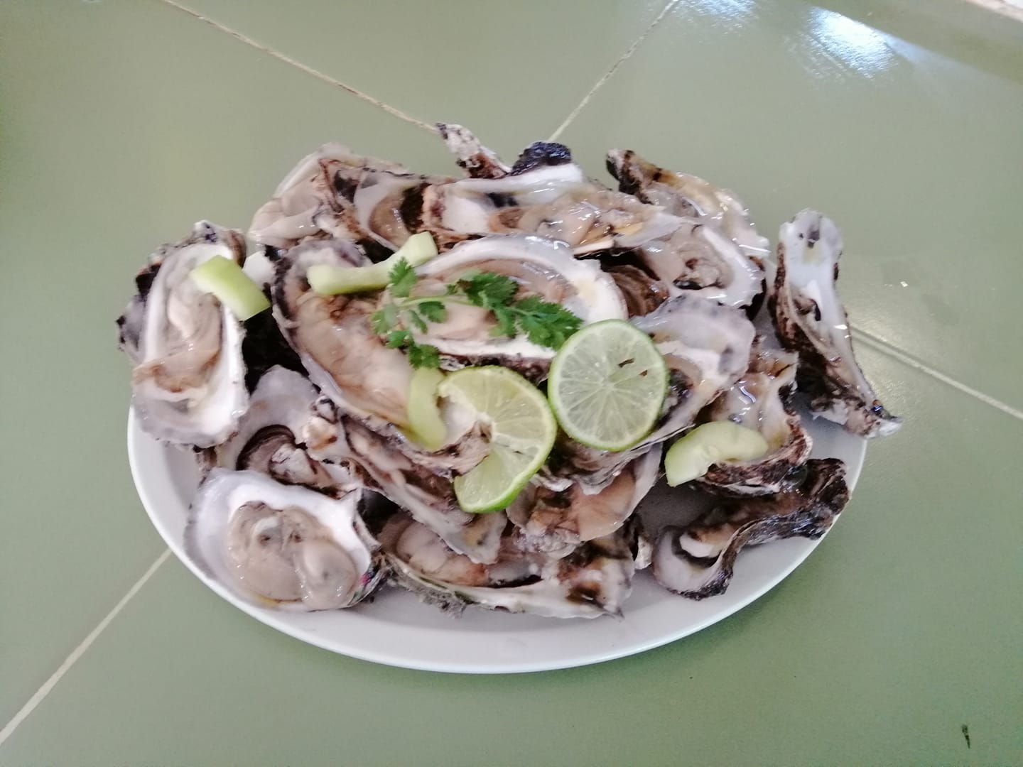 Restaurante el Veracruzano image 2