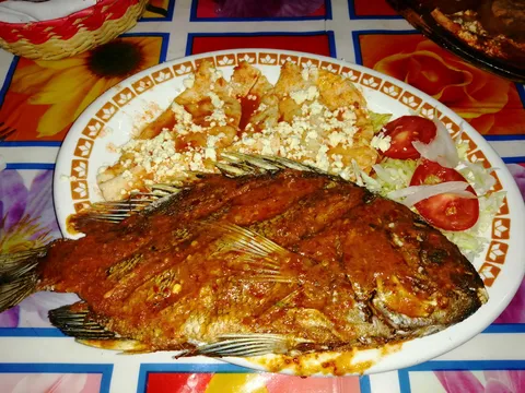 Lonchería "Mi Tamiahua" image 8