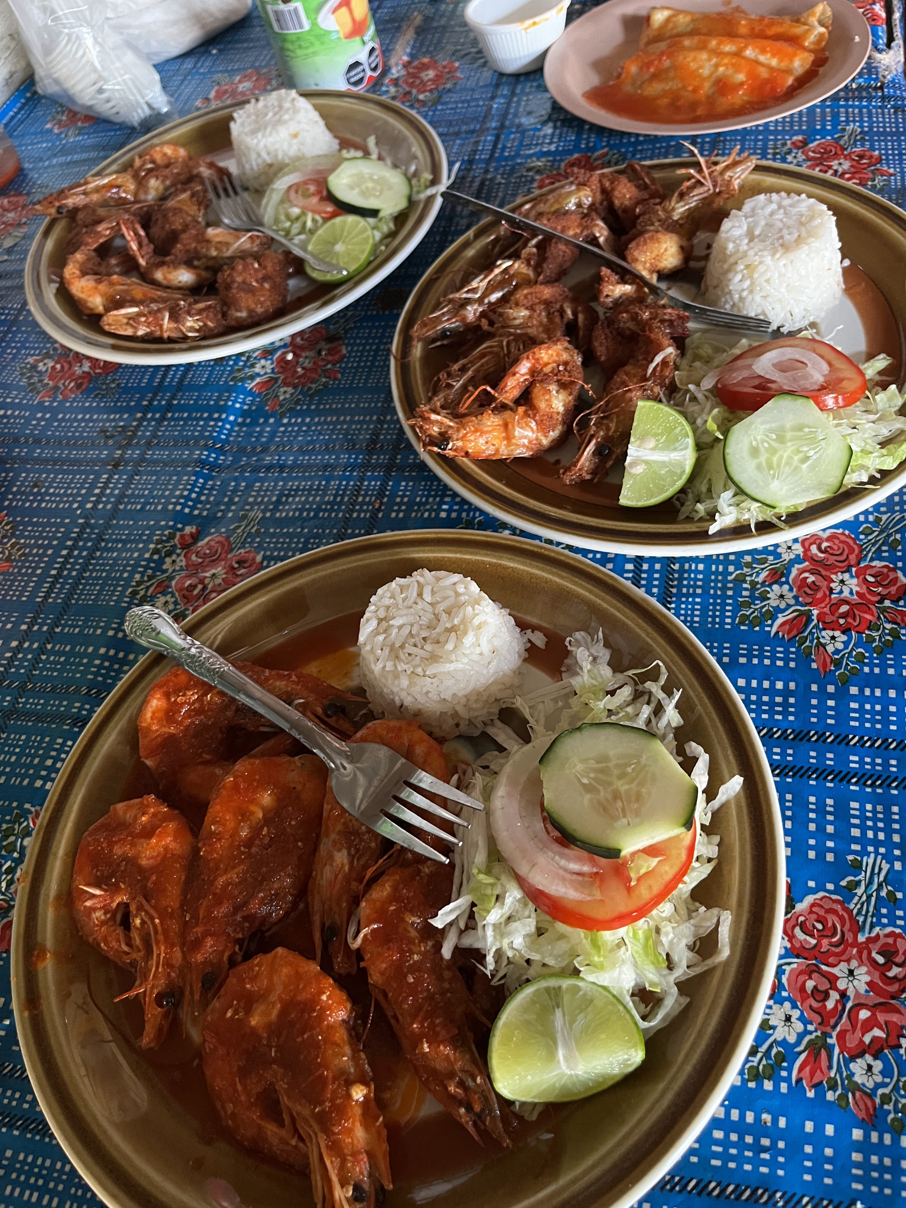 Palapa Cheque de Dani image 1