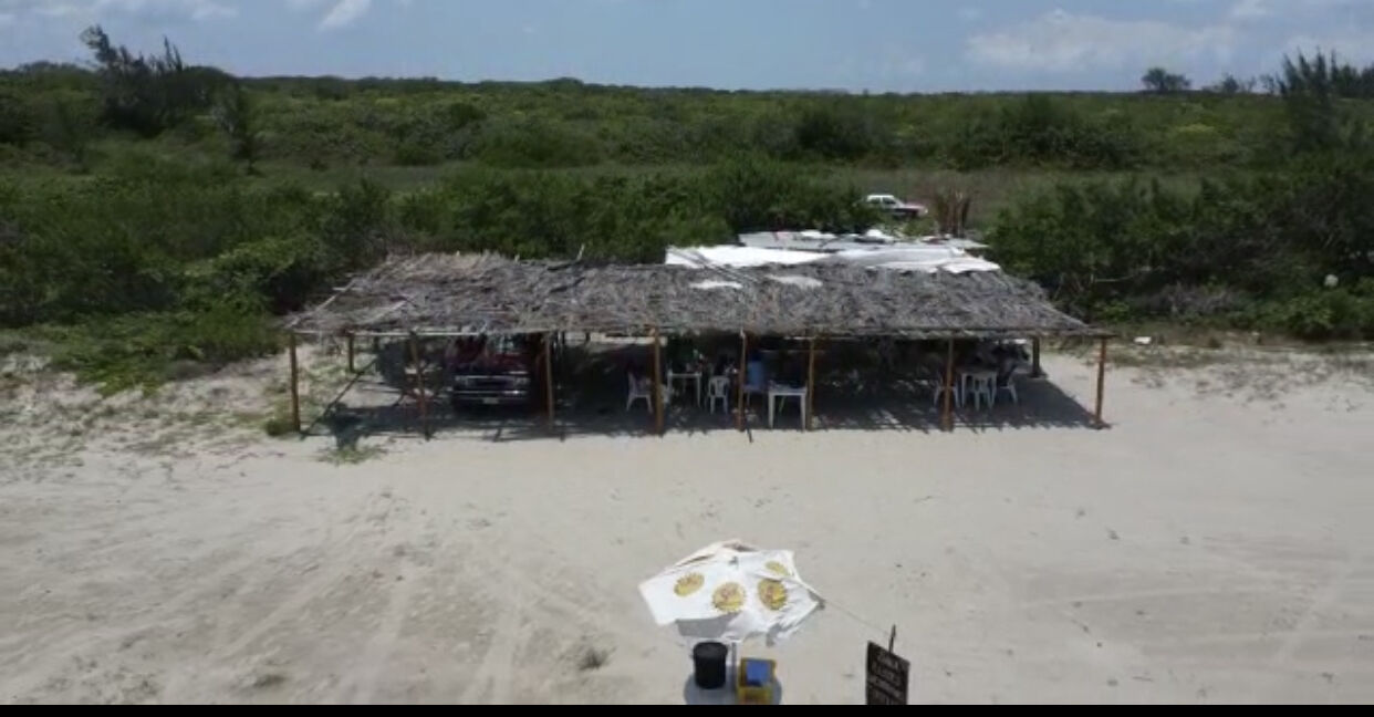 Palapa Cheque de Dani image 8