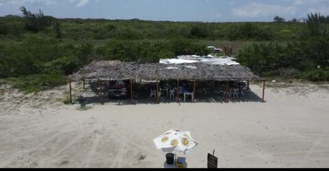 Palapa Cheque de Dani image 8