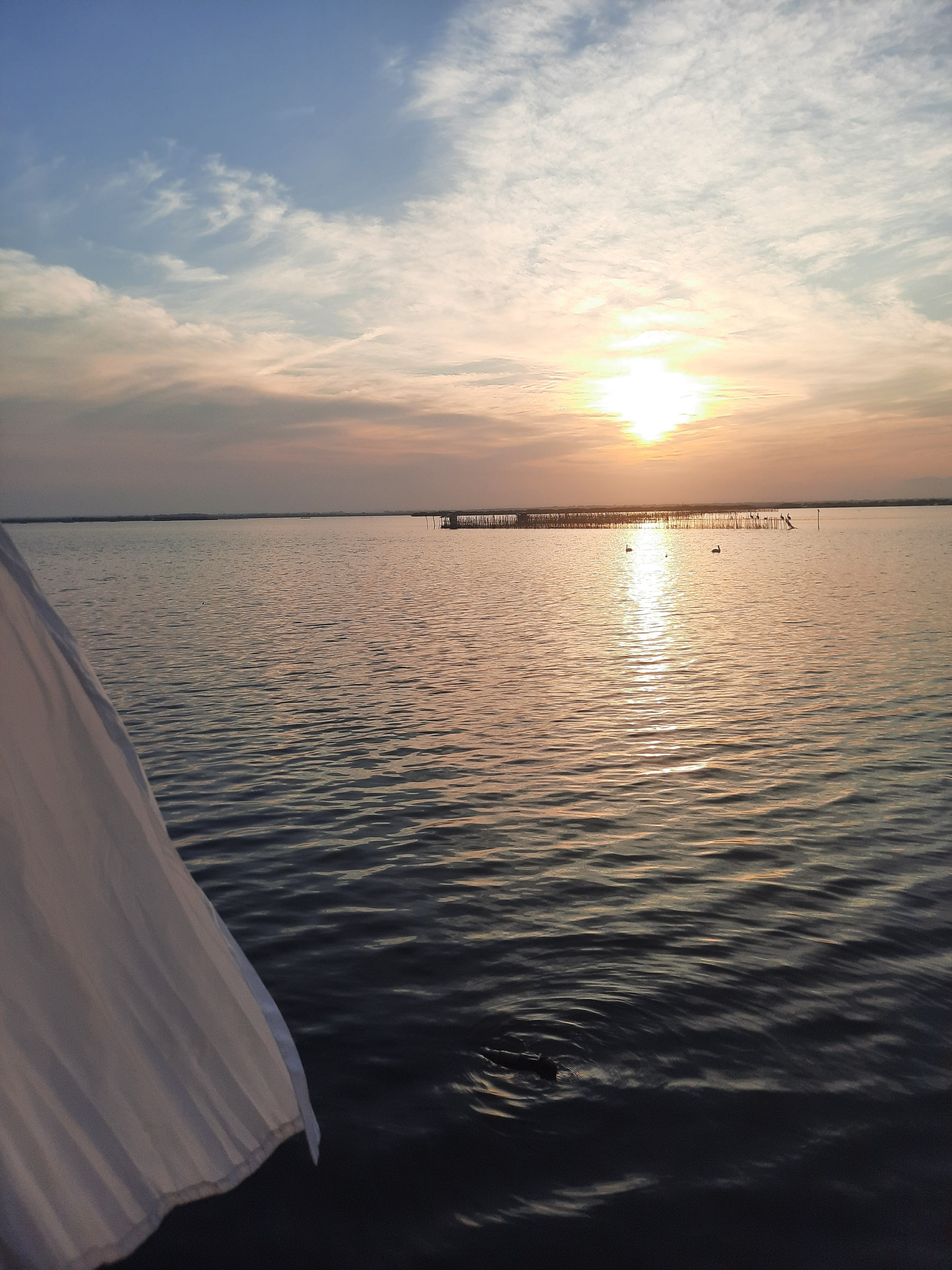 Mariscos el pescador image 4