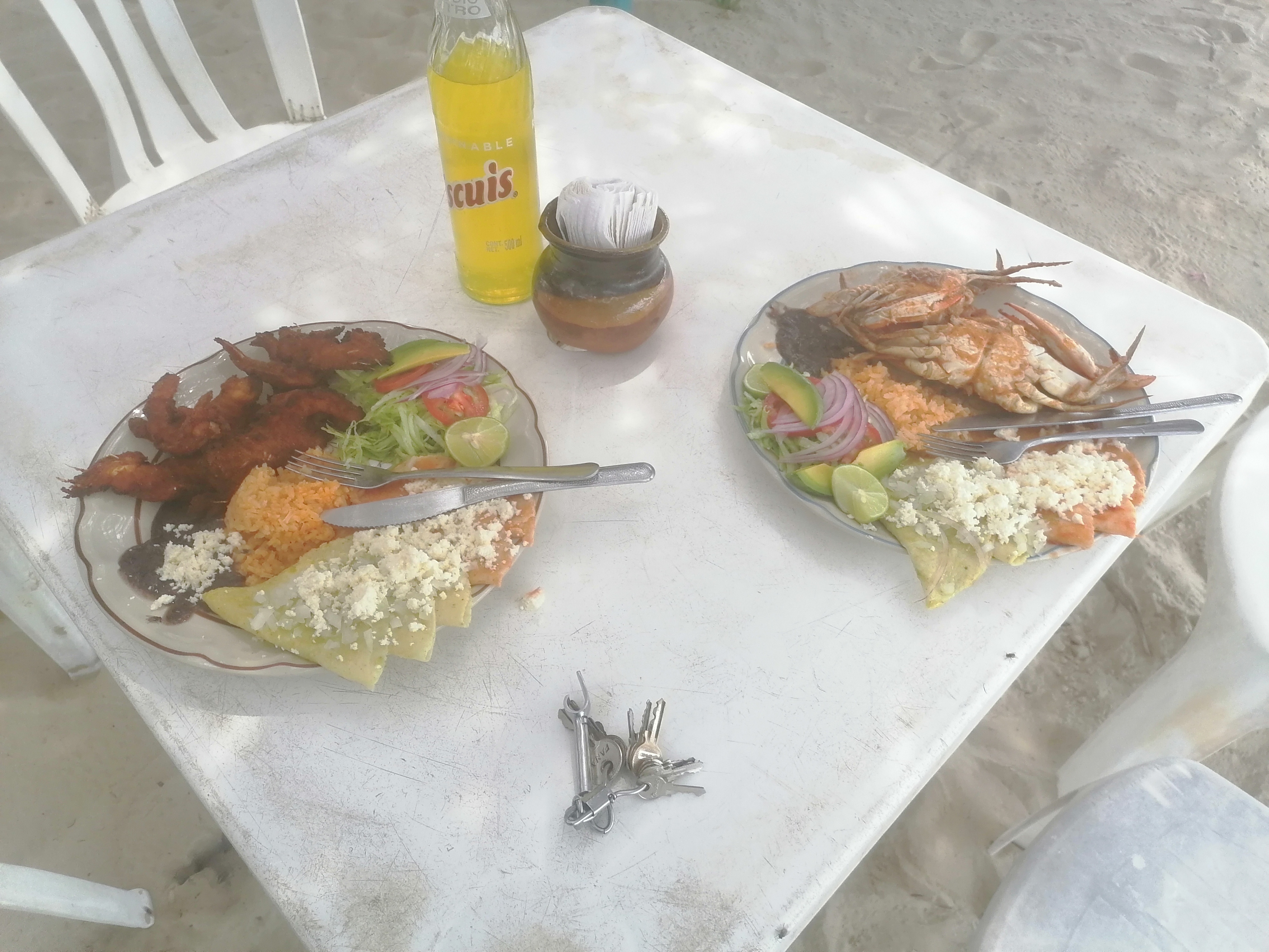 PALAPA EL OSTION image 3