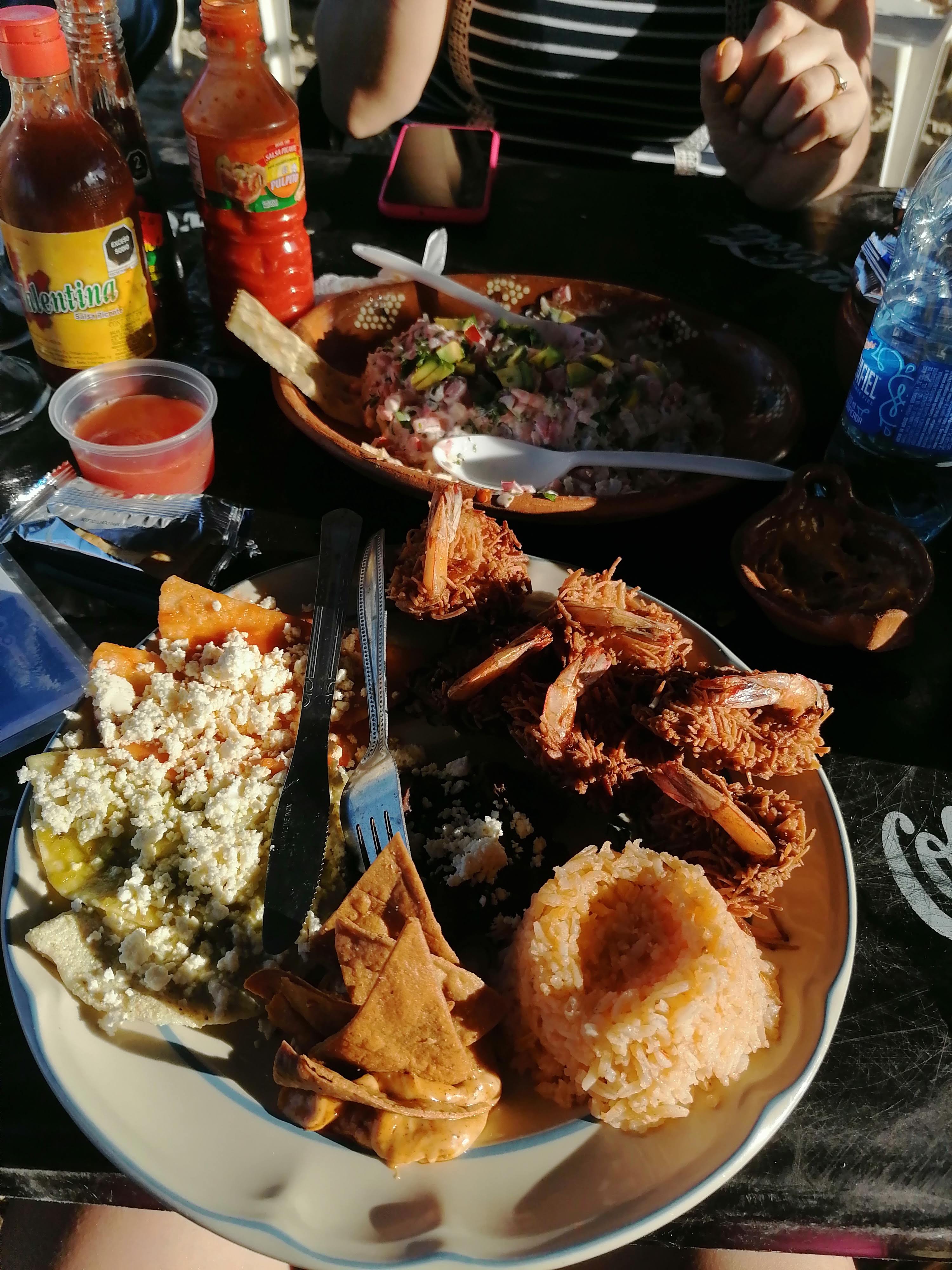 PALAPA EL OSTION image 4