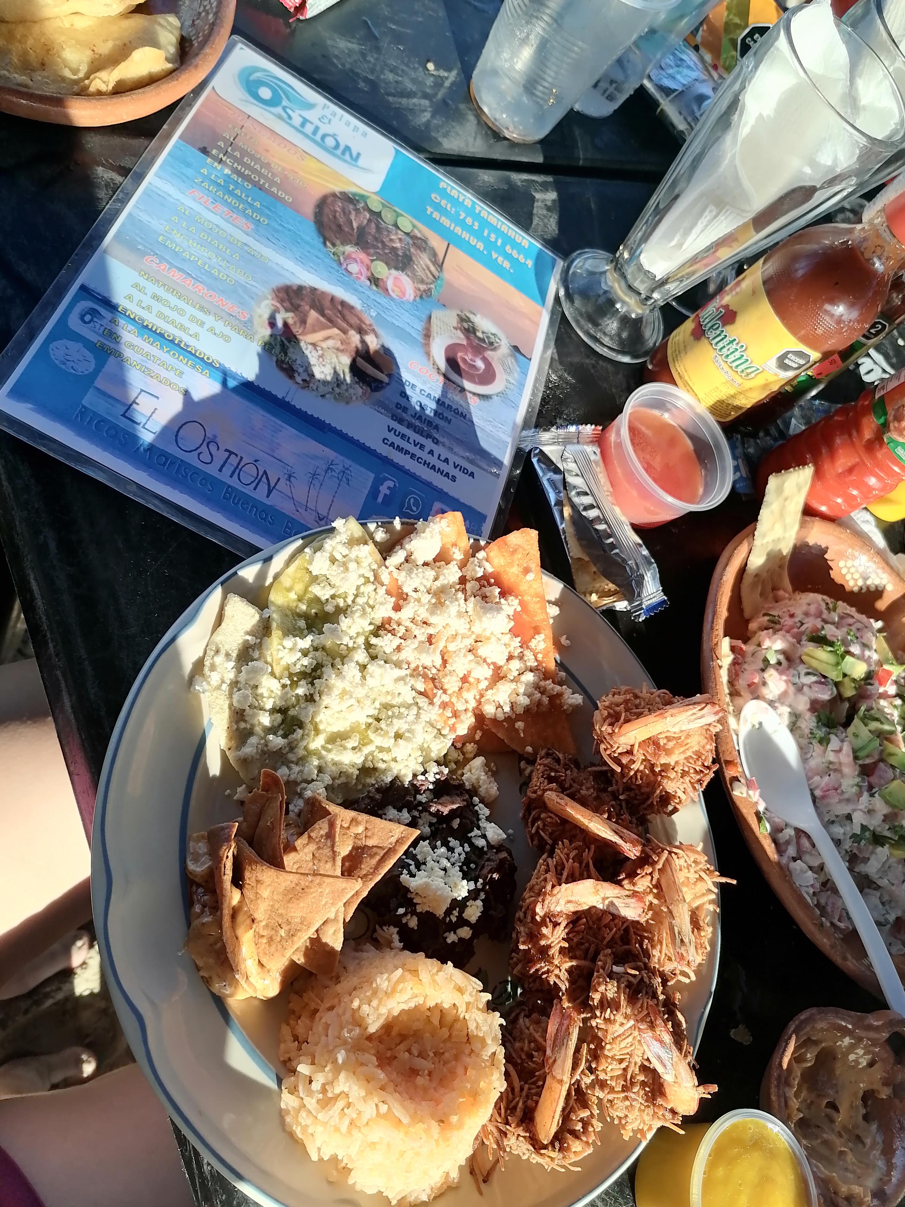 PALAPA EL OSTION image 9