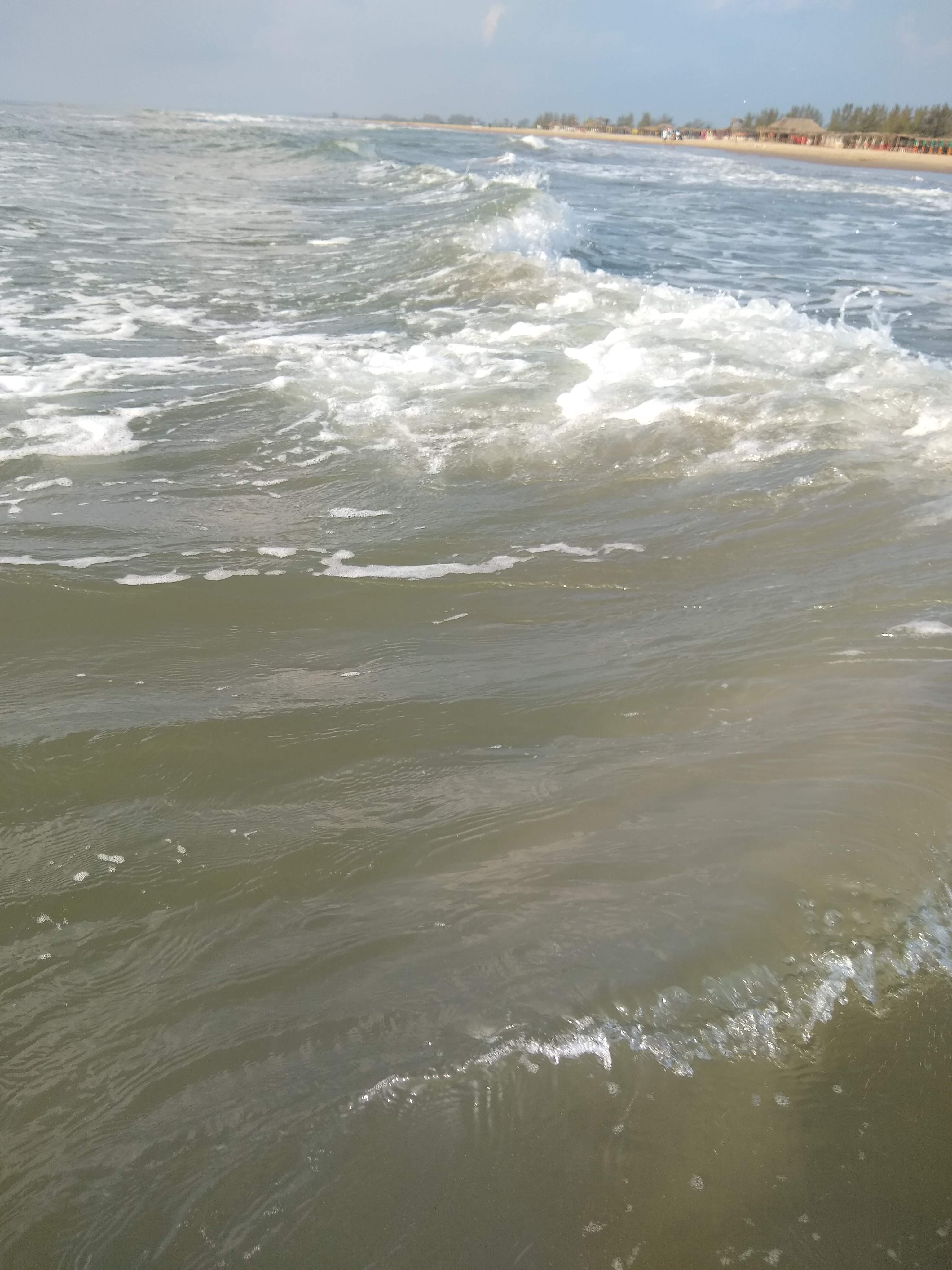 Palapa Doña Maqui image 7