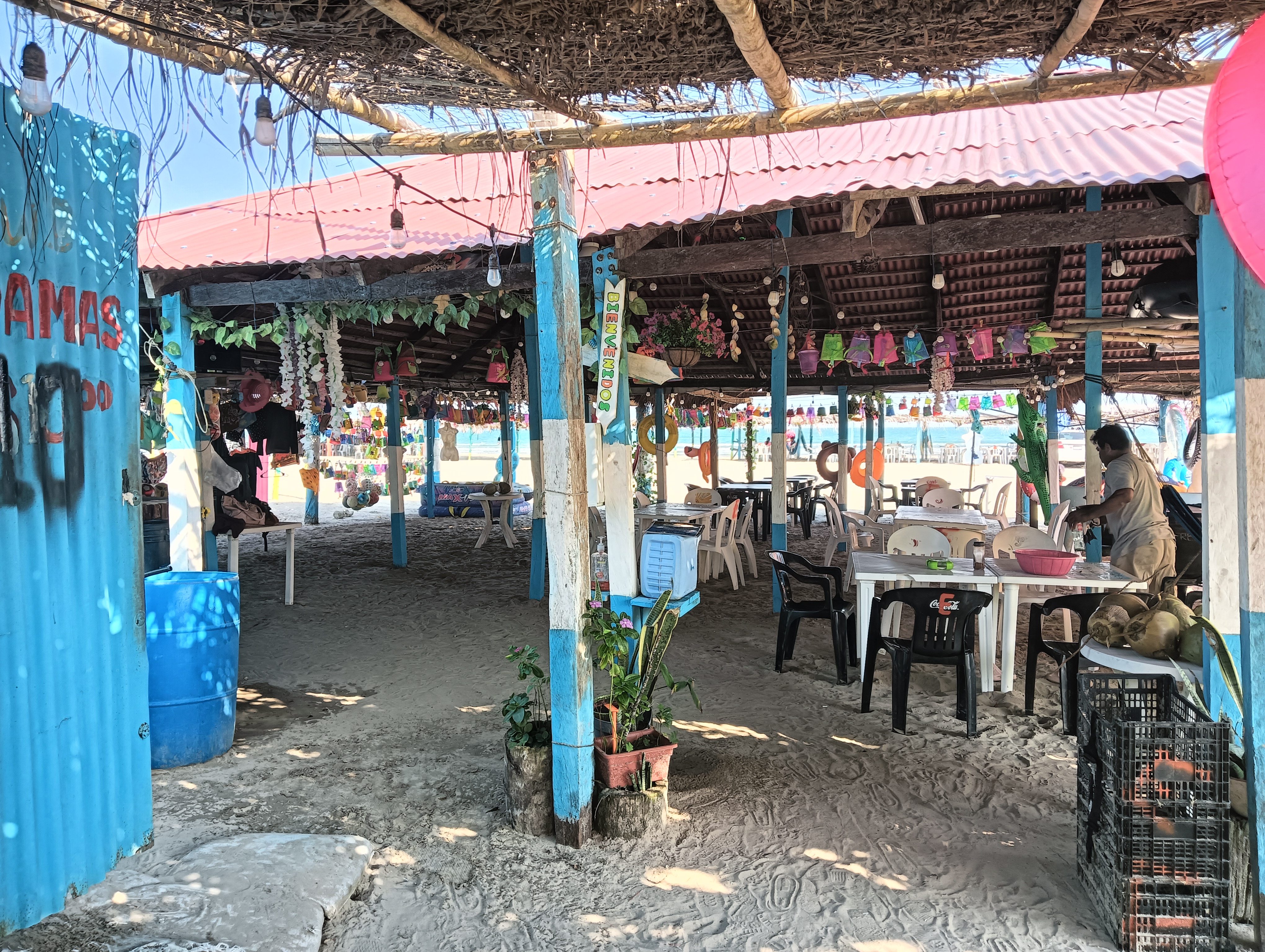 Palapa Uriel image 1