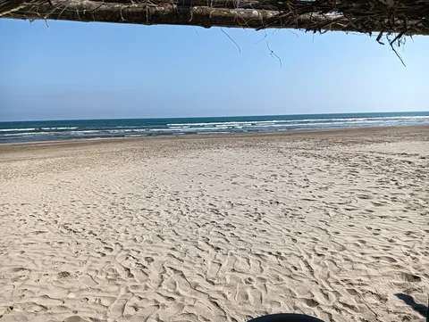 Palapa Uriel image 3