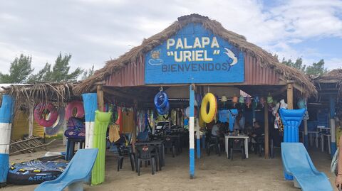Palapa Uriel image 4