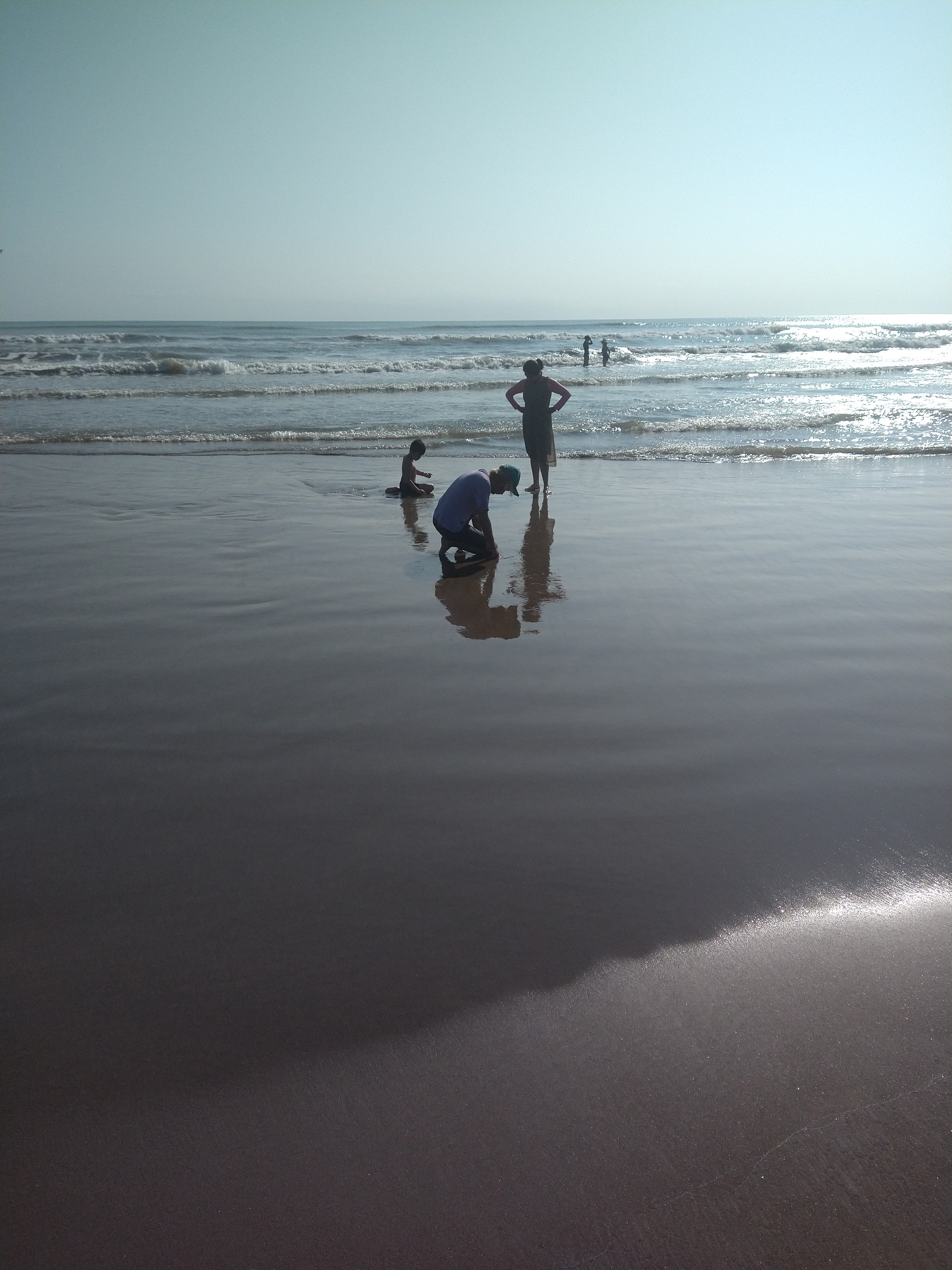 Palapa Uriel image 5