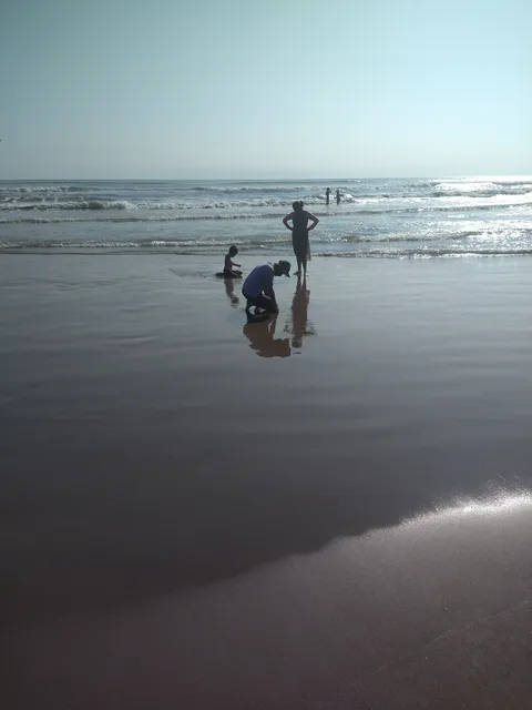 Palapa Uriel image 5