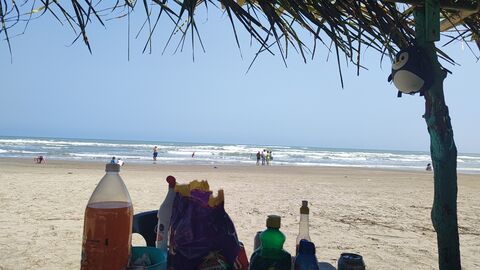 Palapa Uriel image 7
