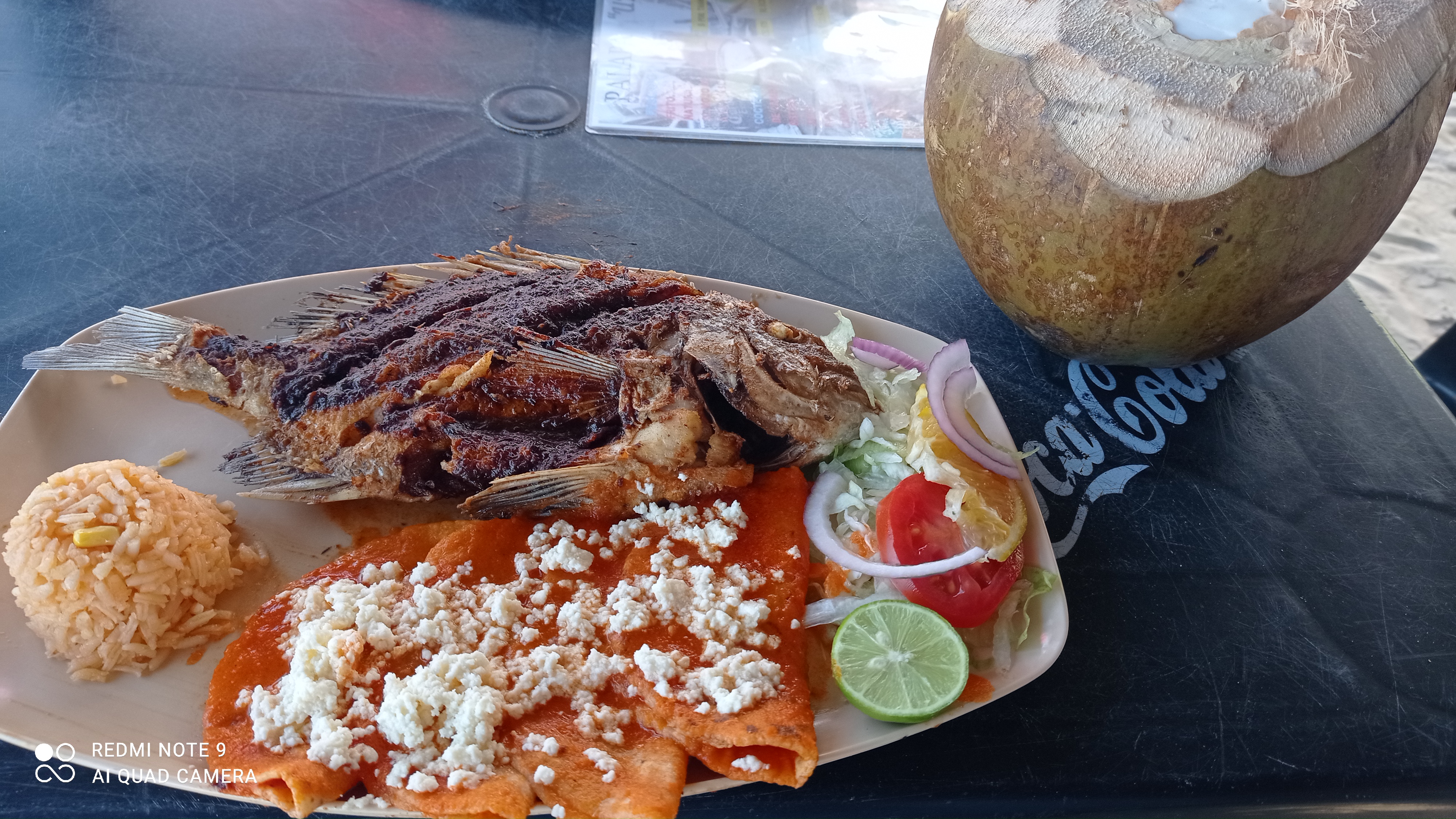 Palapa Uriel image 8