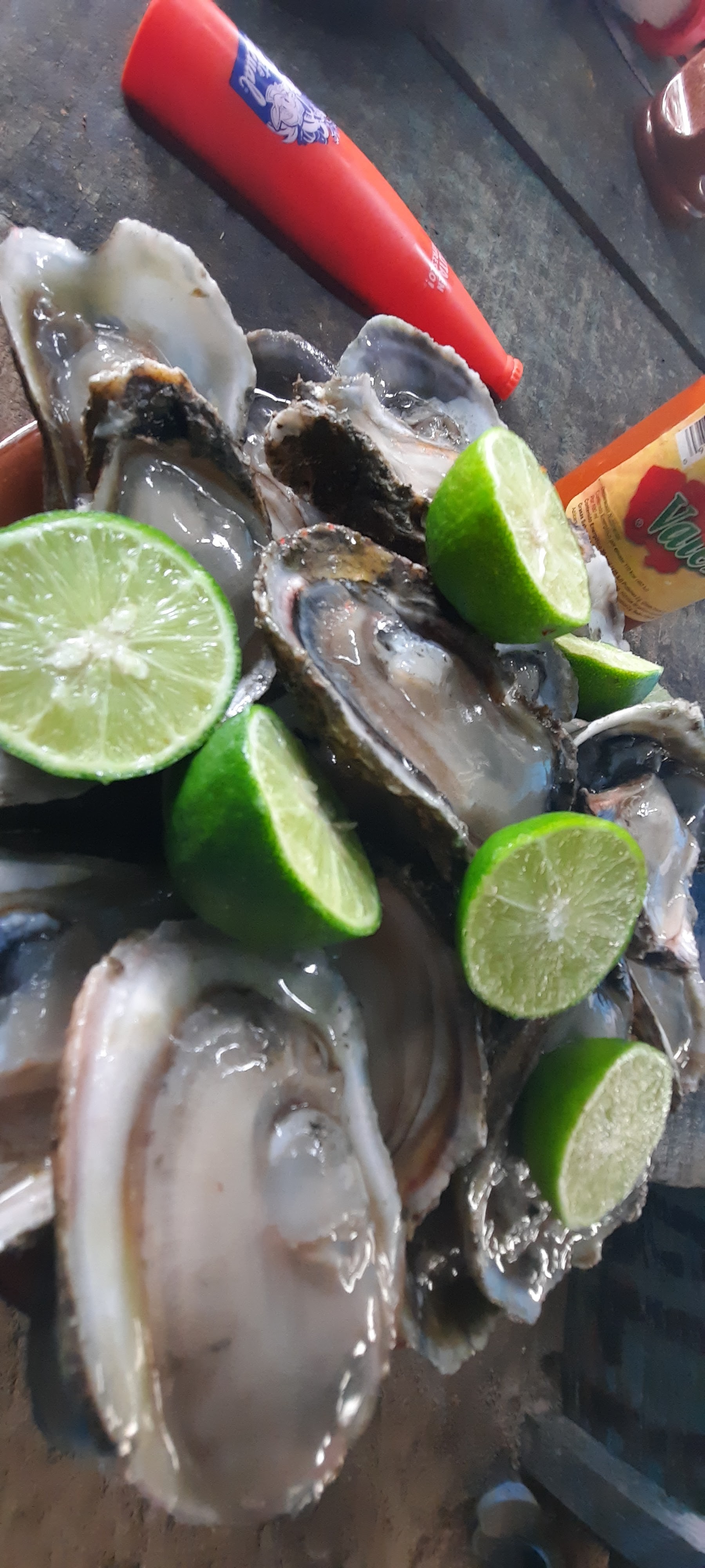 Palapa Uriel image 10