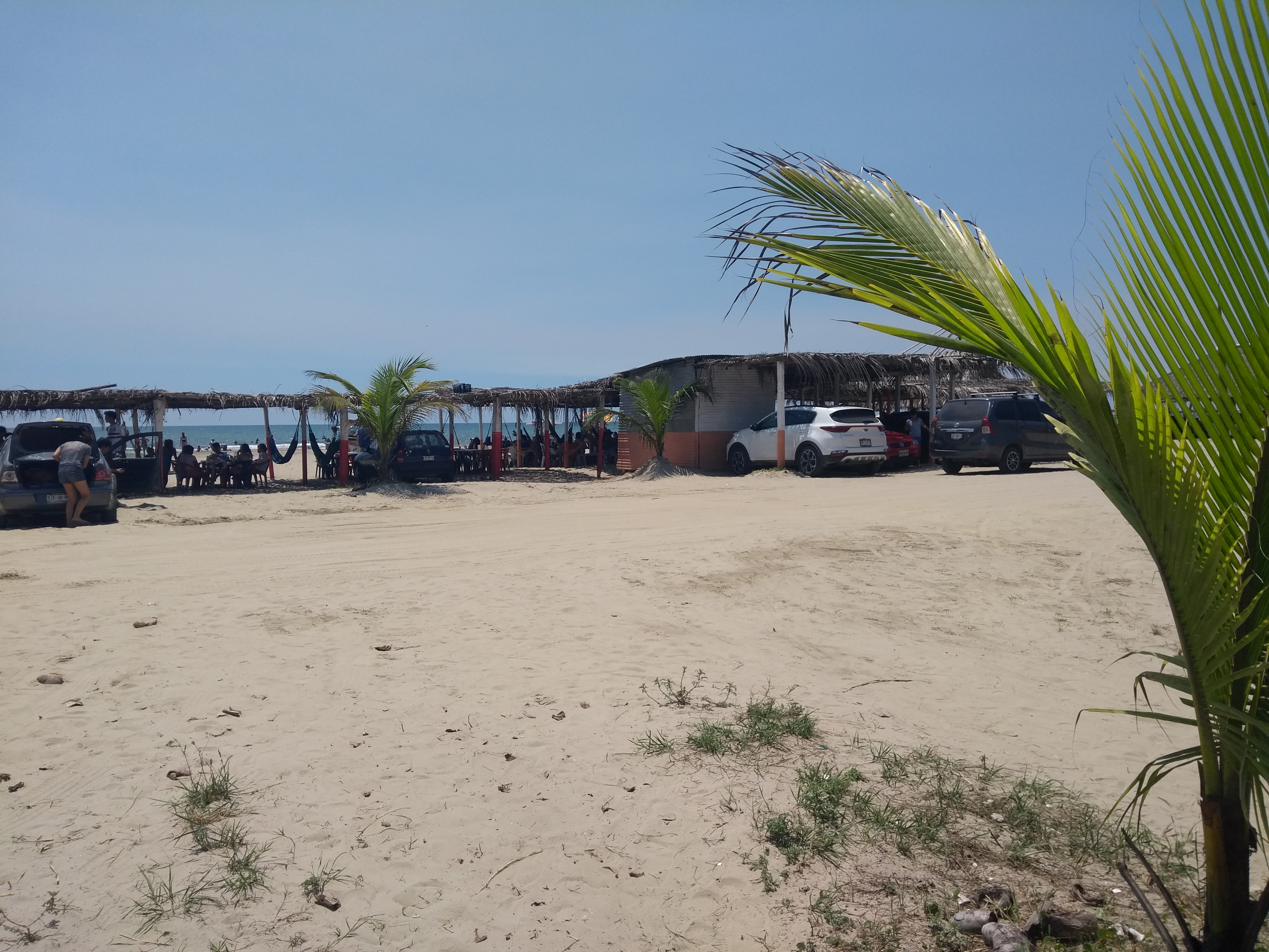 Palapa La Reina Del Golfo image 5