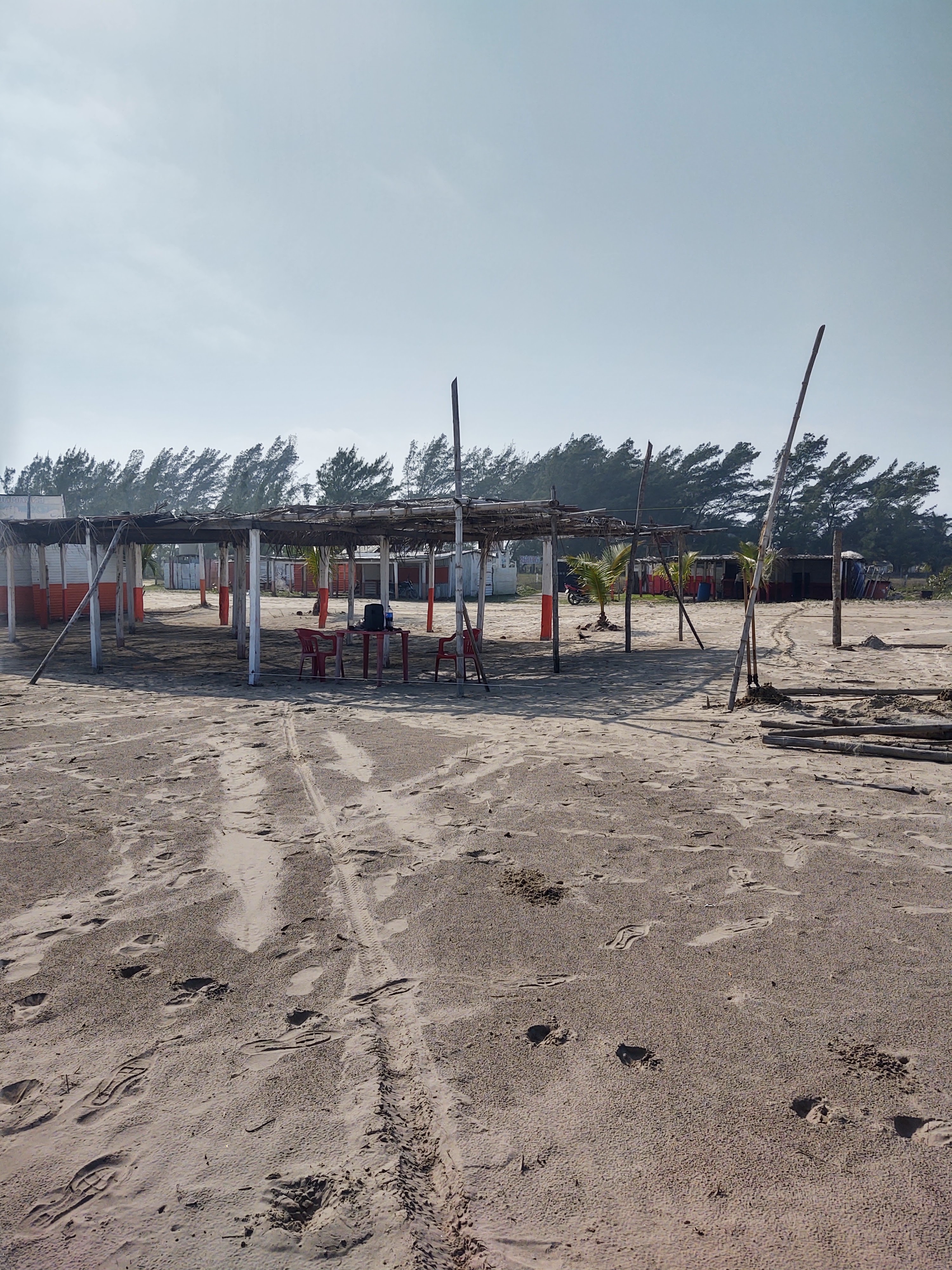 Palapa La Reina Del Golfo image 6