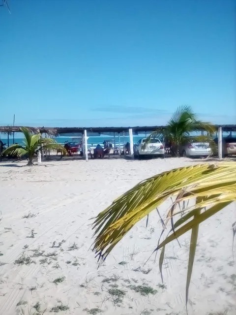 Palapa La Reina Del Golfo image 7