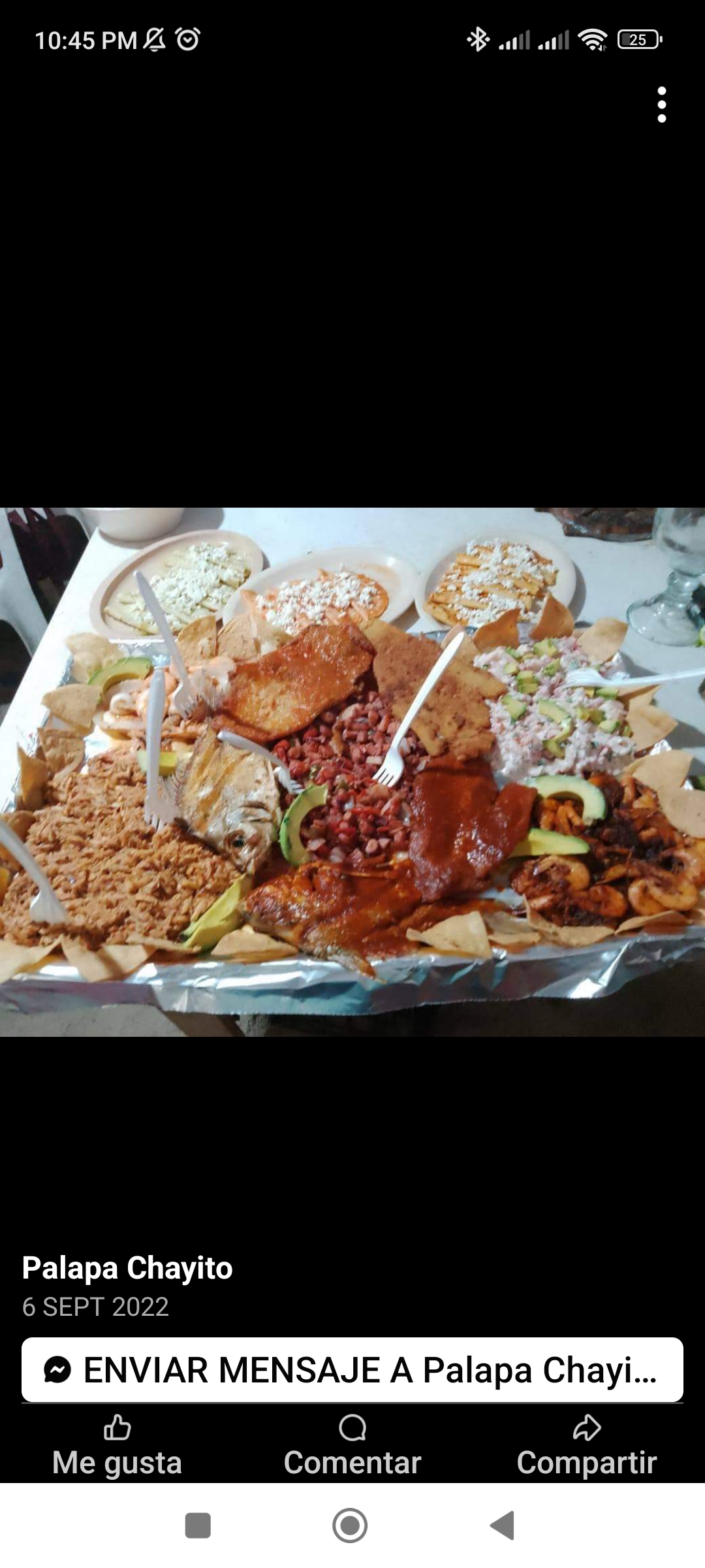 Palapa Chayito image 7