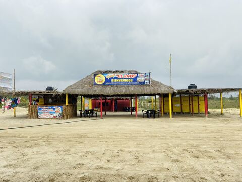 Palapa el pato image 1