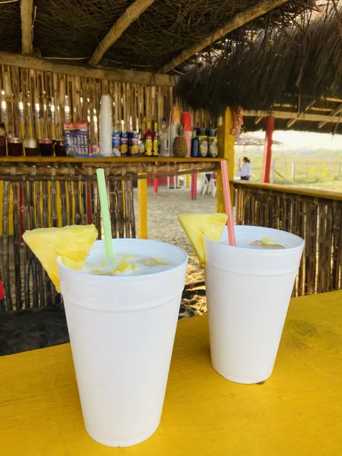 Palapa el pato image 6