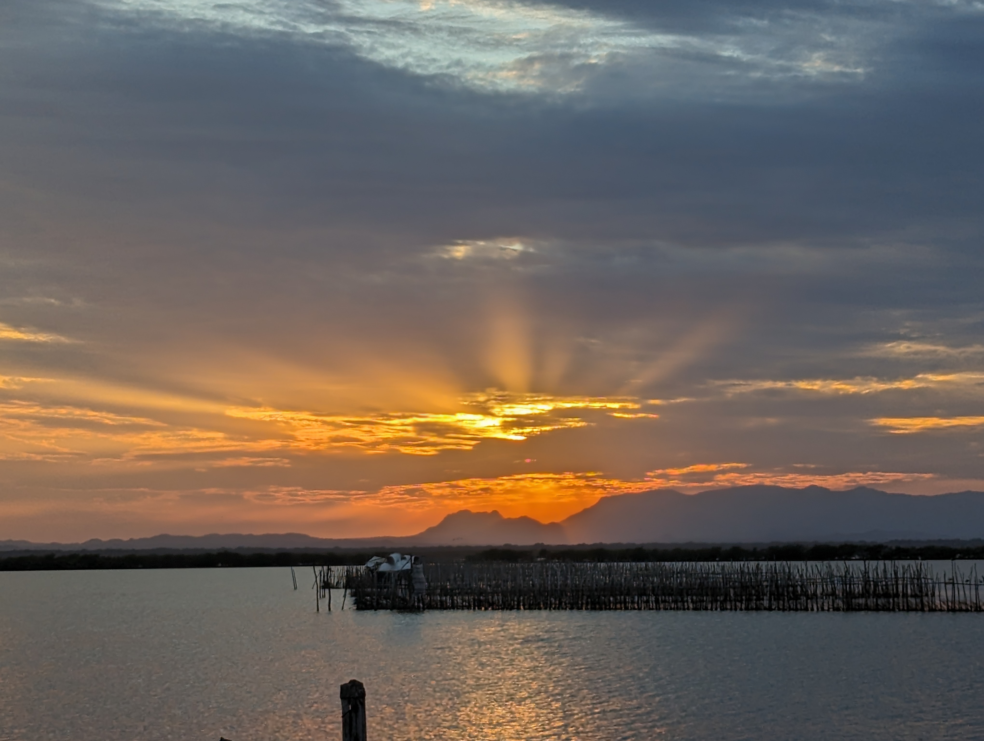 Restaurante El Hoyo De Cangrejo TNT Mariscos image 10