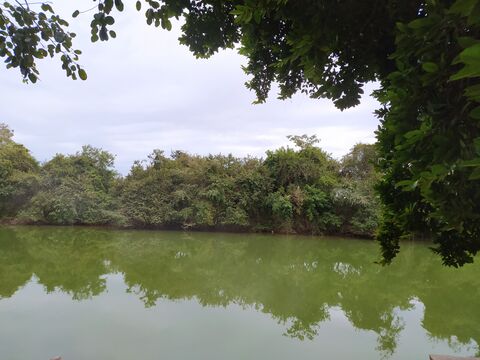 Bendita image 1