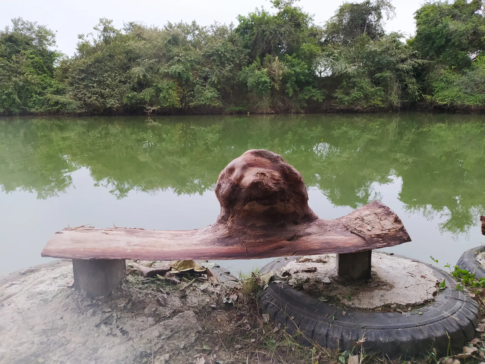 Bendita image 2